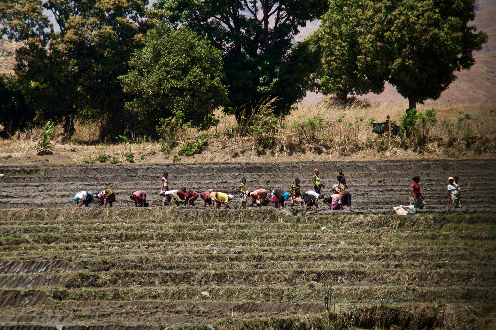 Pentax K-S1 sample photo. Terrazas de arroz i photography