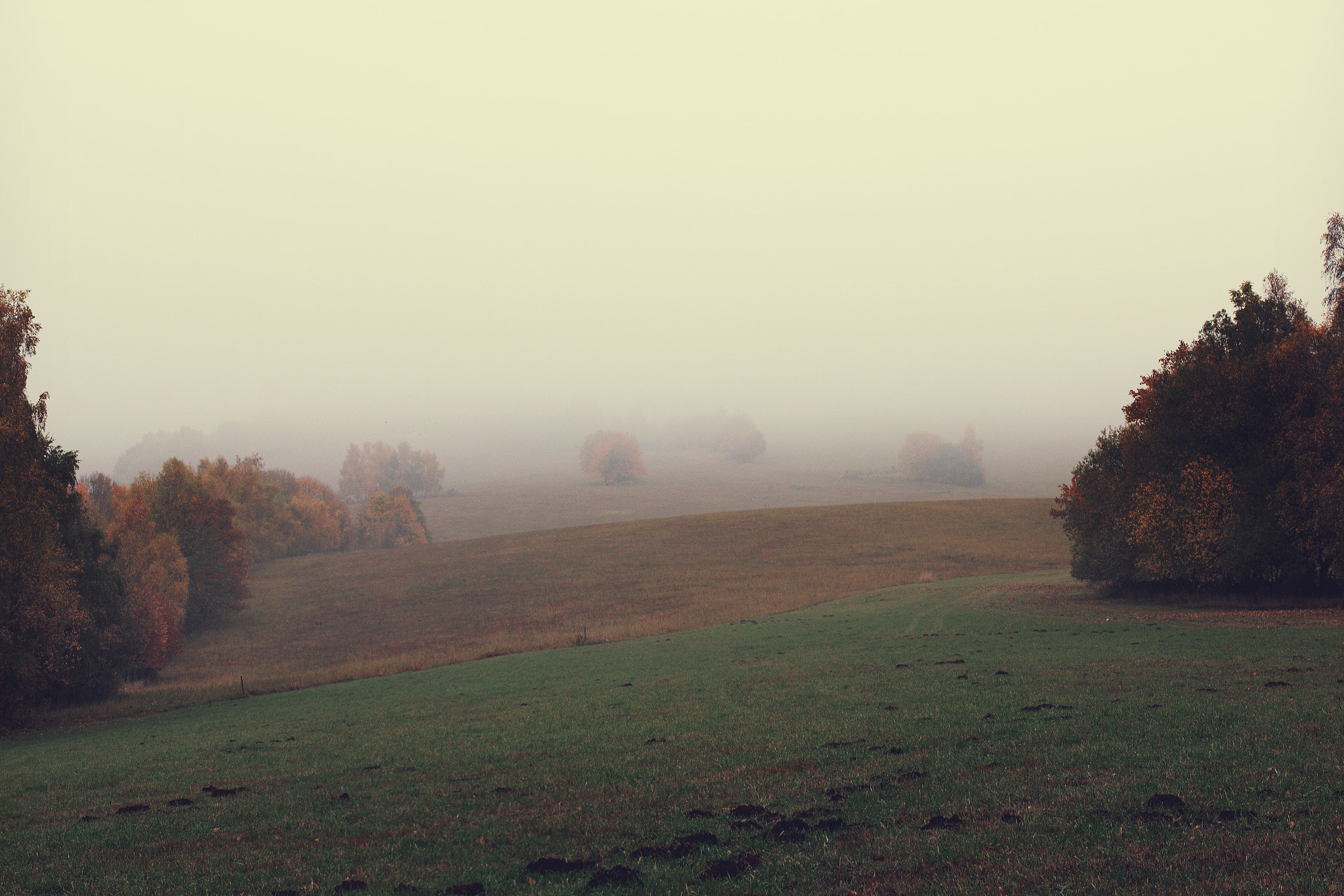 Canon EOS 70D + Canon EF 400mm f/2.8L sample photo. Autumn in orlické hory photography