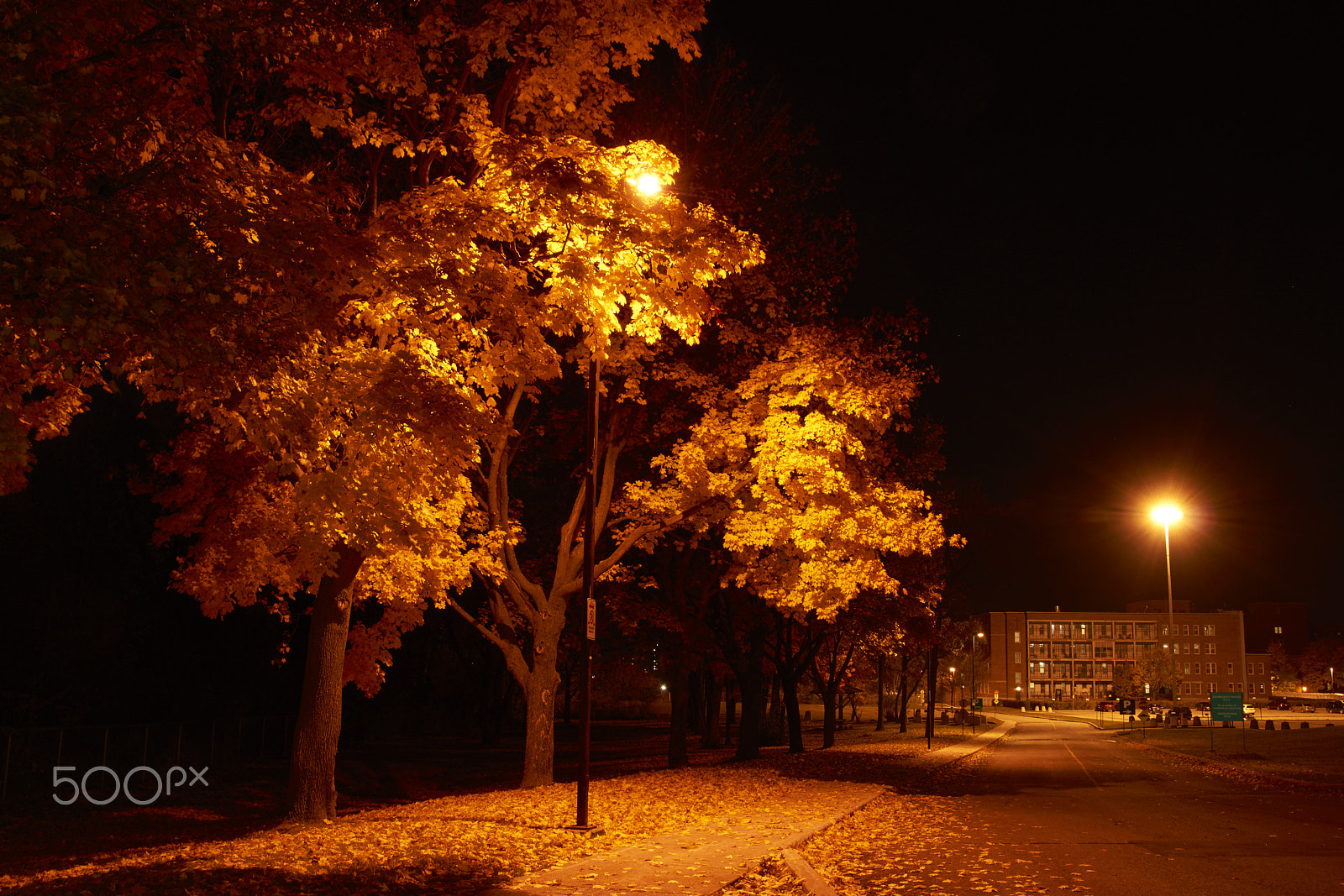 Sony SLT-A65 (SLT-A65V) + DT 18-270mm F3.5-6.3 SSM sample photo. Soirée à montréal-nord photography