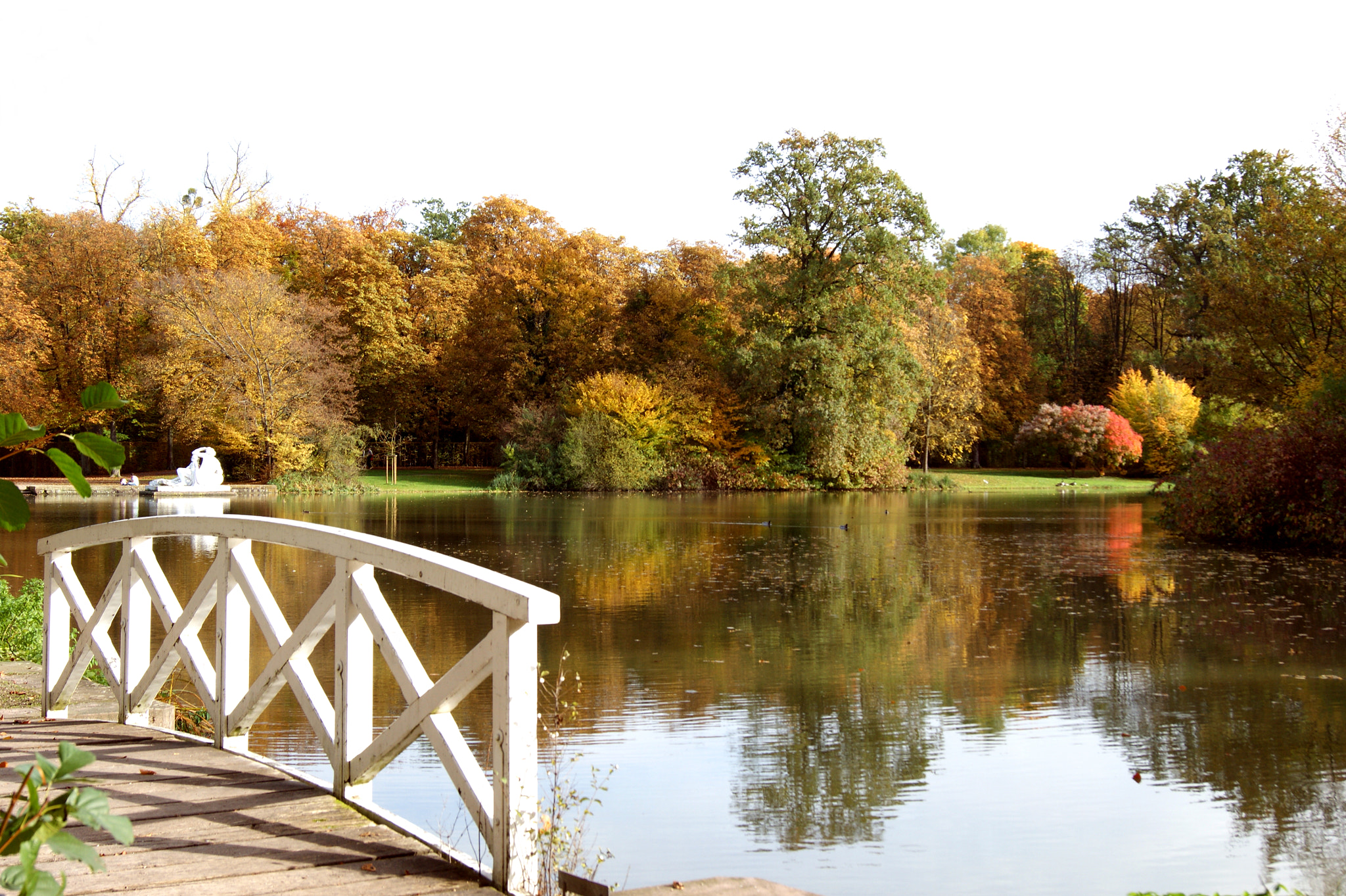 Sony Alpha DSLR-A290 + Sony DT 18-55mm F3.5-5.6 SAM sample photo. Another autumn day photography