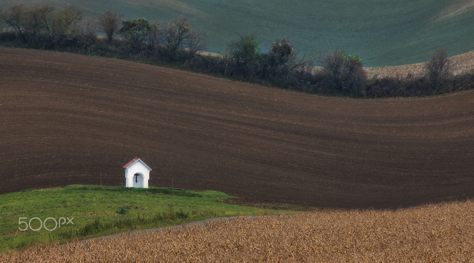 Canon EOS 5D Mark II + Canon EF 70-200mm F2.8L IS USM sample photo. Moravian field 02 photography