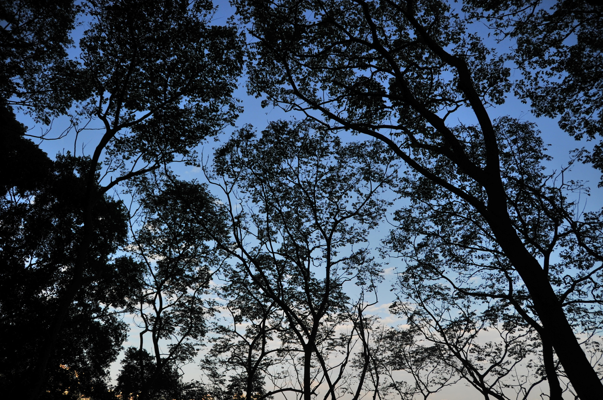 Nikon D3S sample photo. .. photography