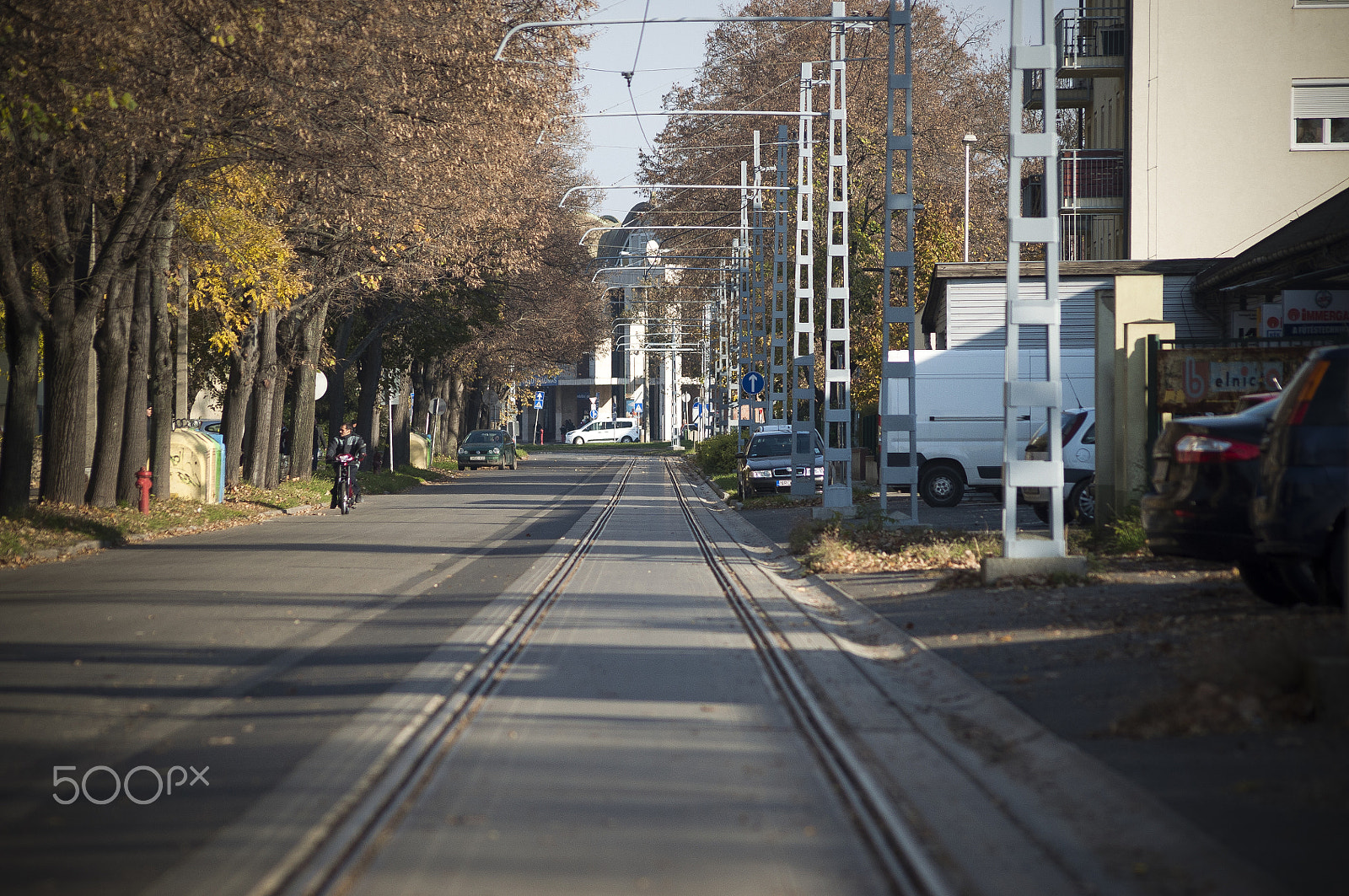 Sigma 70-300mm F4-5.6 APO DG Macro sample photo. Debrecen-hungary photography