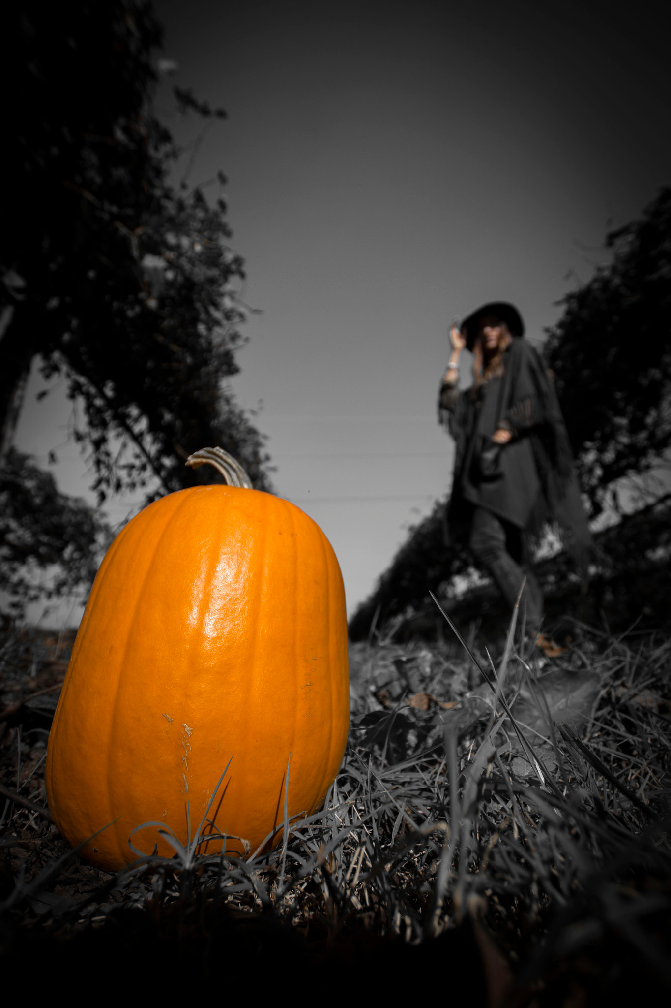 Sigma 10-20mm F3.5 EX DC HSM sample photo. °november° photography