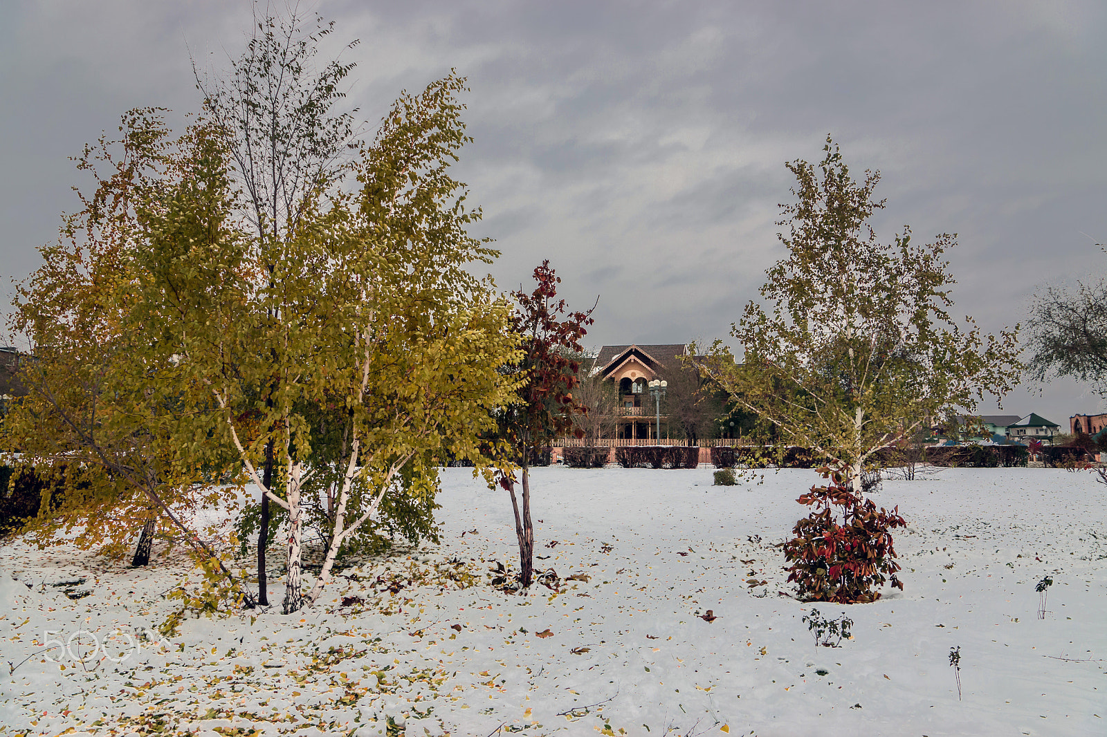 Sony SLT-A65 (SLT-A65V) sample photo. Colorful but gloomy meeting winter and autumn photography