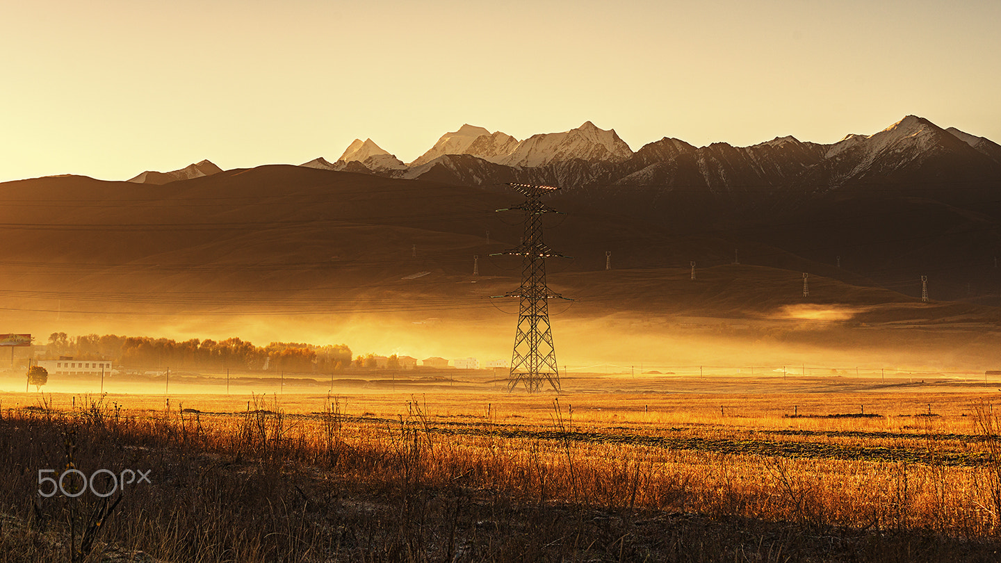 Sony a99 II + Minolta/Sony AF 70-200mm F2.8 G sample photo. Sunlight in the morning photography