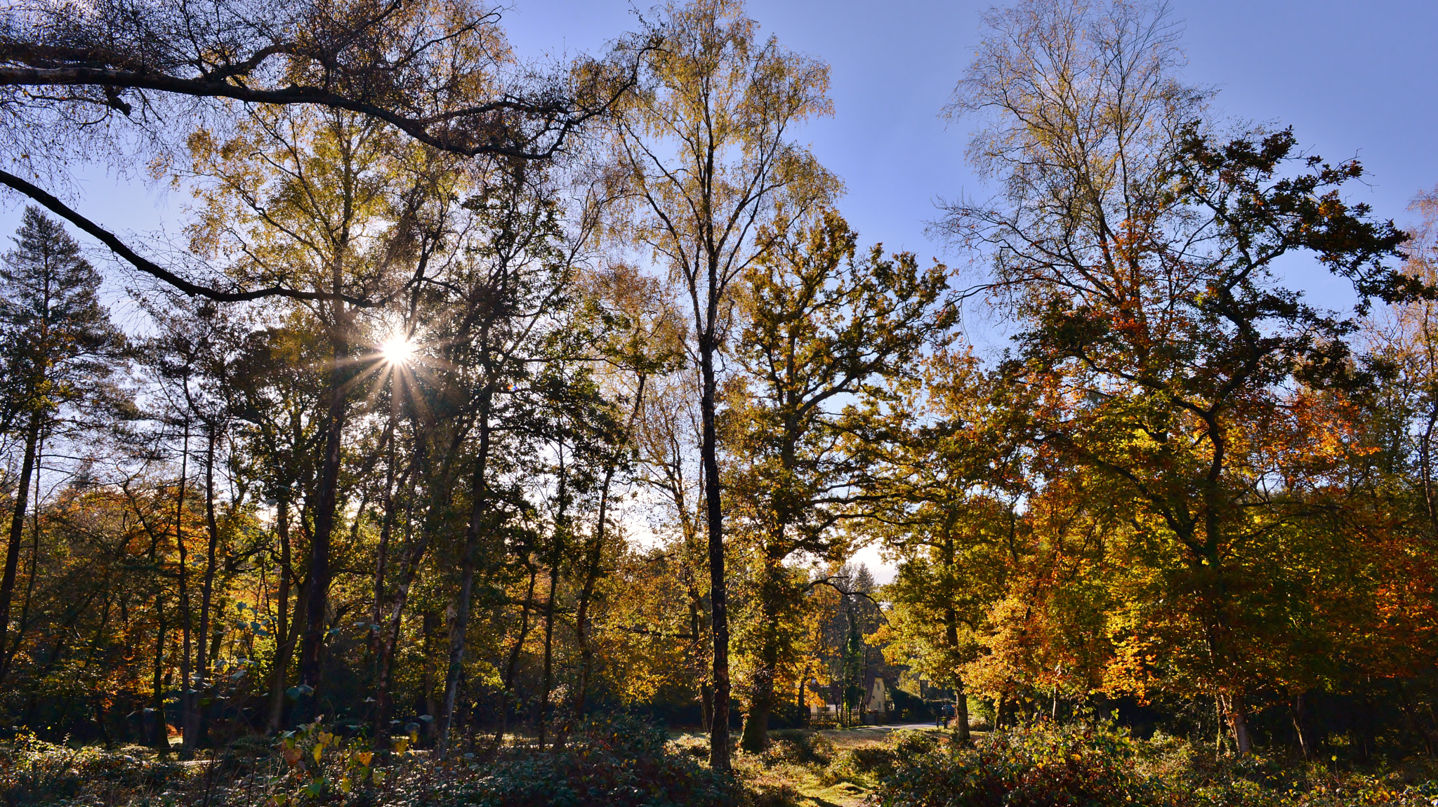 Nikon D610 + Nikon AF Nikkor 24mm F2.8D sample photo. Autmn morning photography