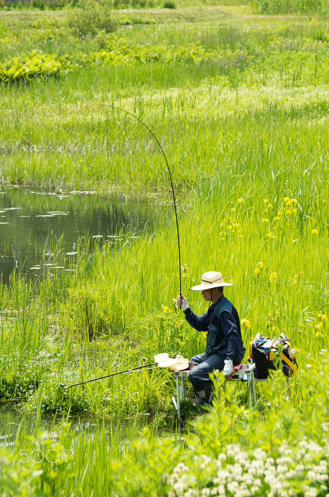 Pentax K-01 + smc Pentax-DA L 50-200mm F4-5.6 ED WR sample photo. Catching the spring photography