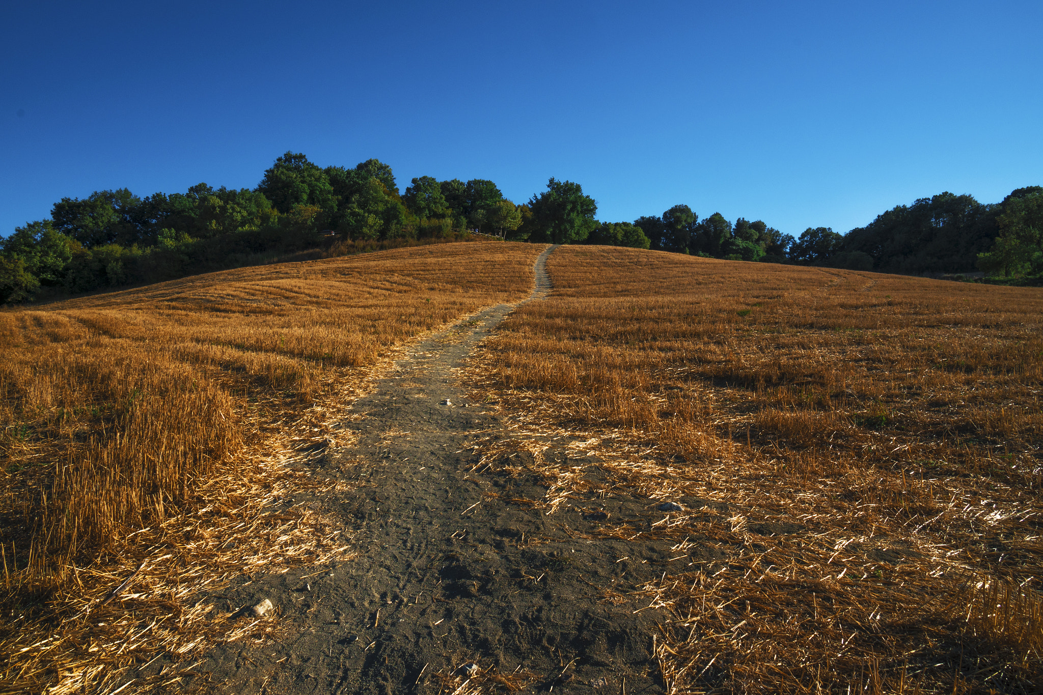 Sony a7R II + Sony Vario-Tessar T* E 16-70mm F4 ZA OSS sample photo. So simply photography