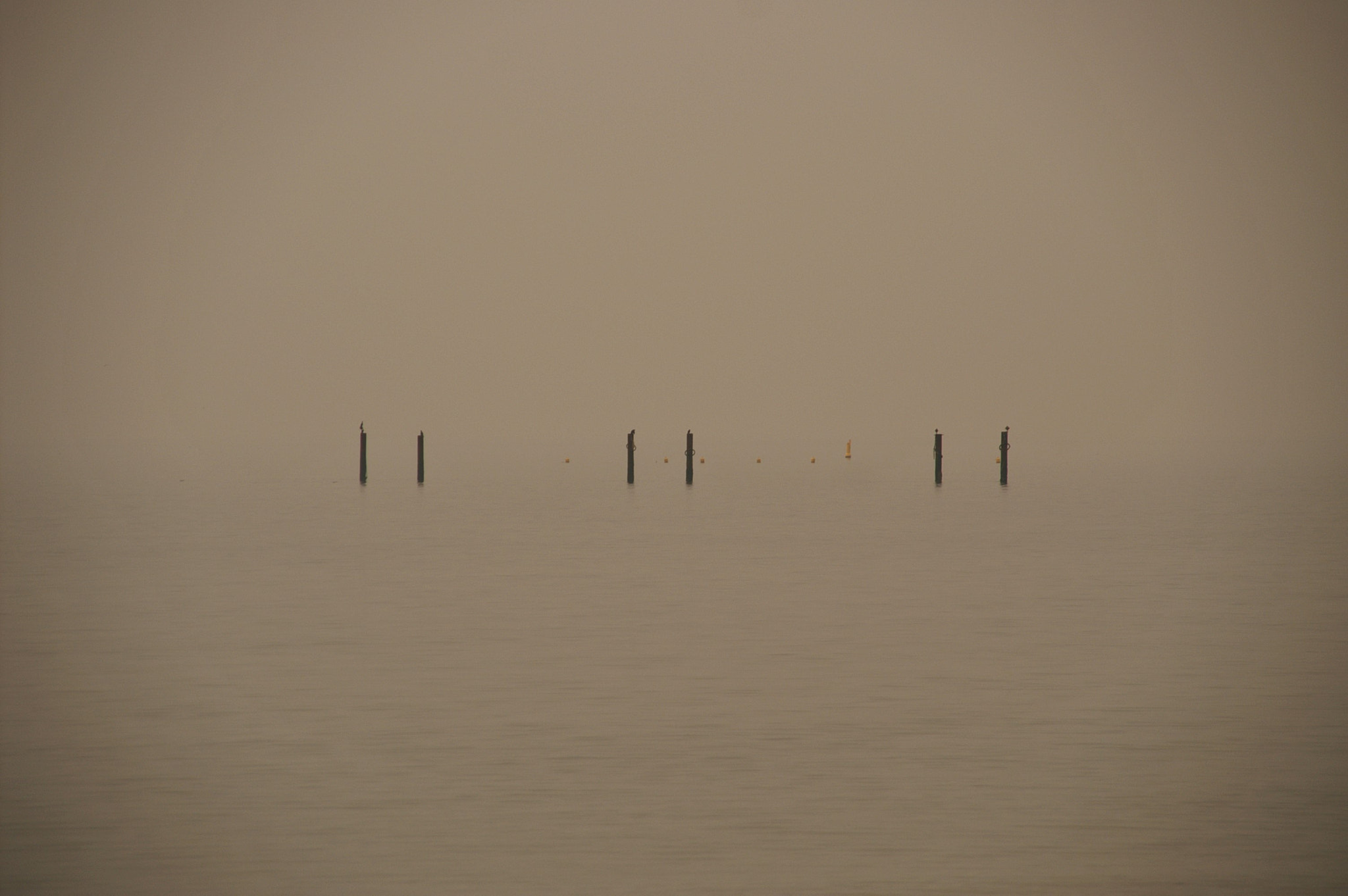 KONICA MINOLTA DYNAX 5D + Sigma 18-200mm F3.5-6.3 DC sample photo. Mist at the beach photography