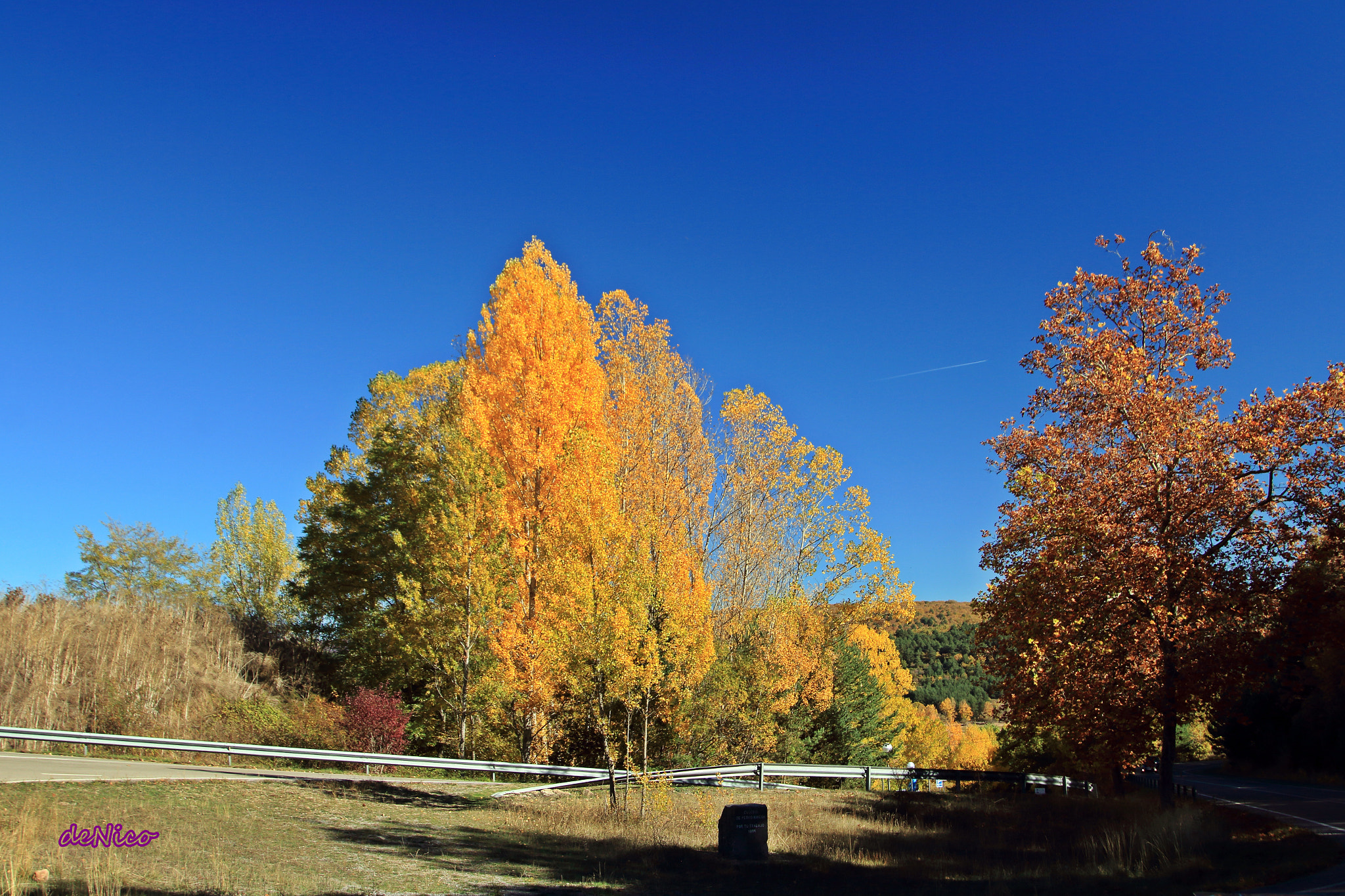 Sigma 24-105mm f/4 DG OS HSM | A sample photo. Img photography