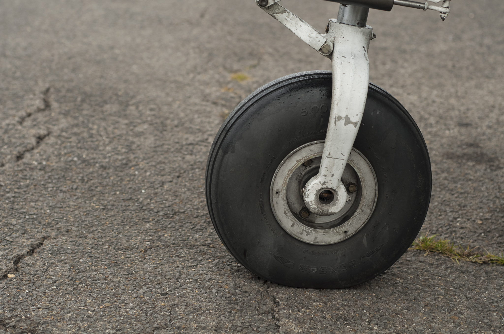 Nikon D90 sample photo. Feet on the ground photography