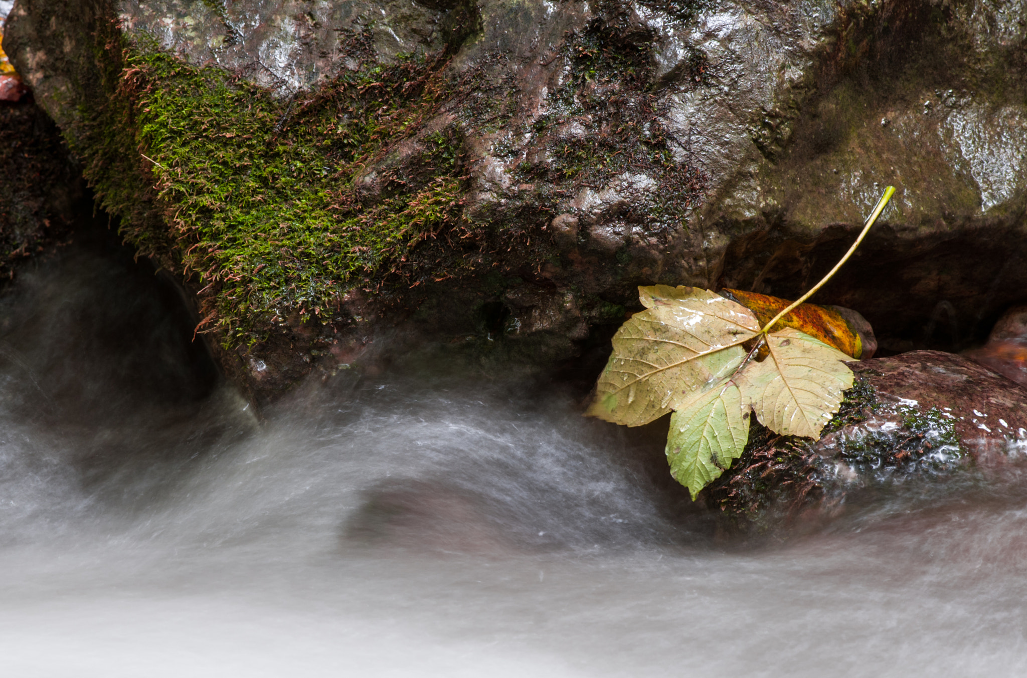 Nikon AF-Nikkor 80-200mm F2.8D ED sample photo. Áj valley photography