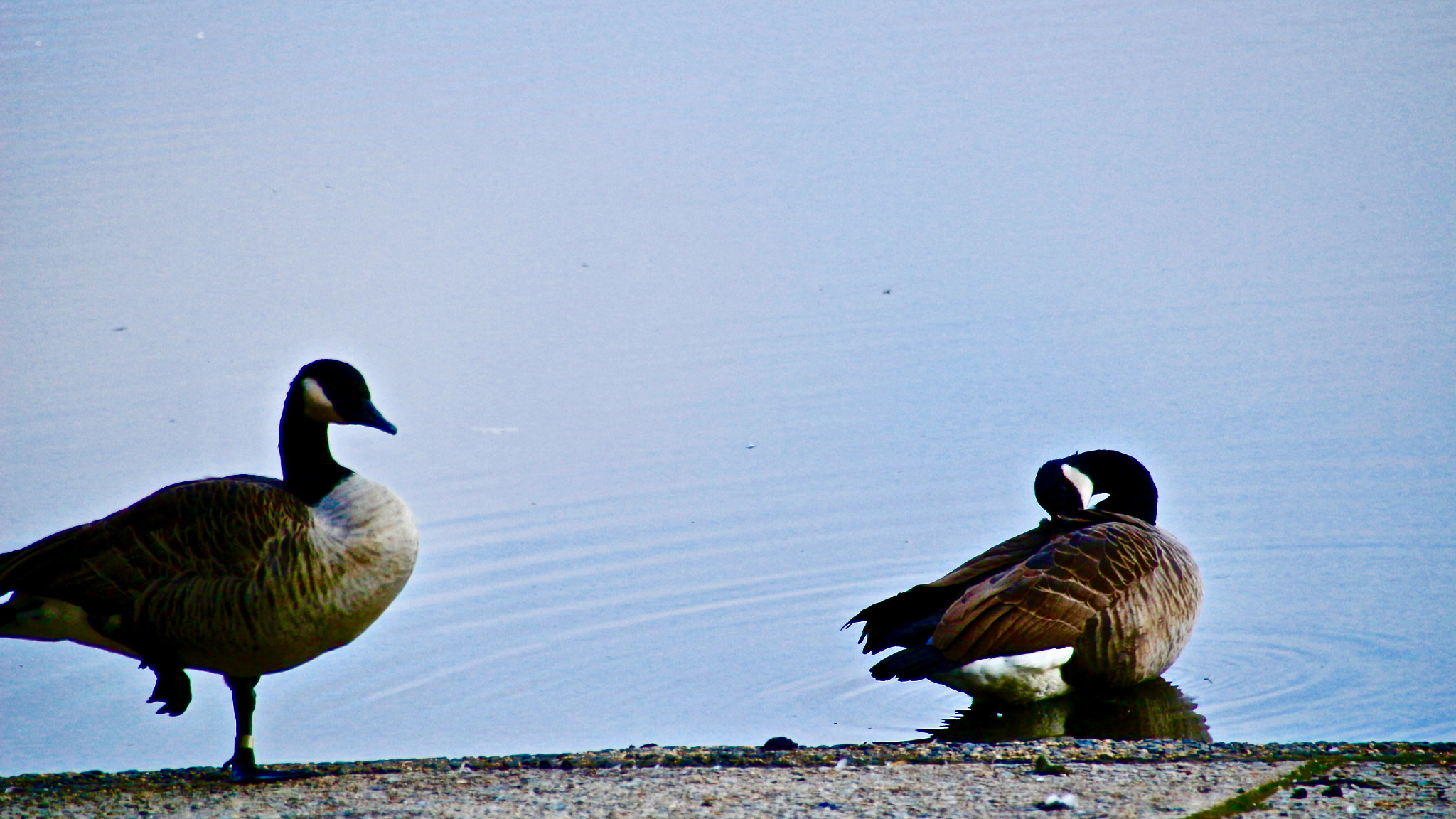 Sigma 18-250mm F3.5-6.3 DC OS HSM sample photo