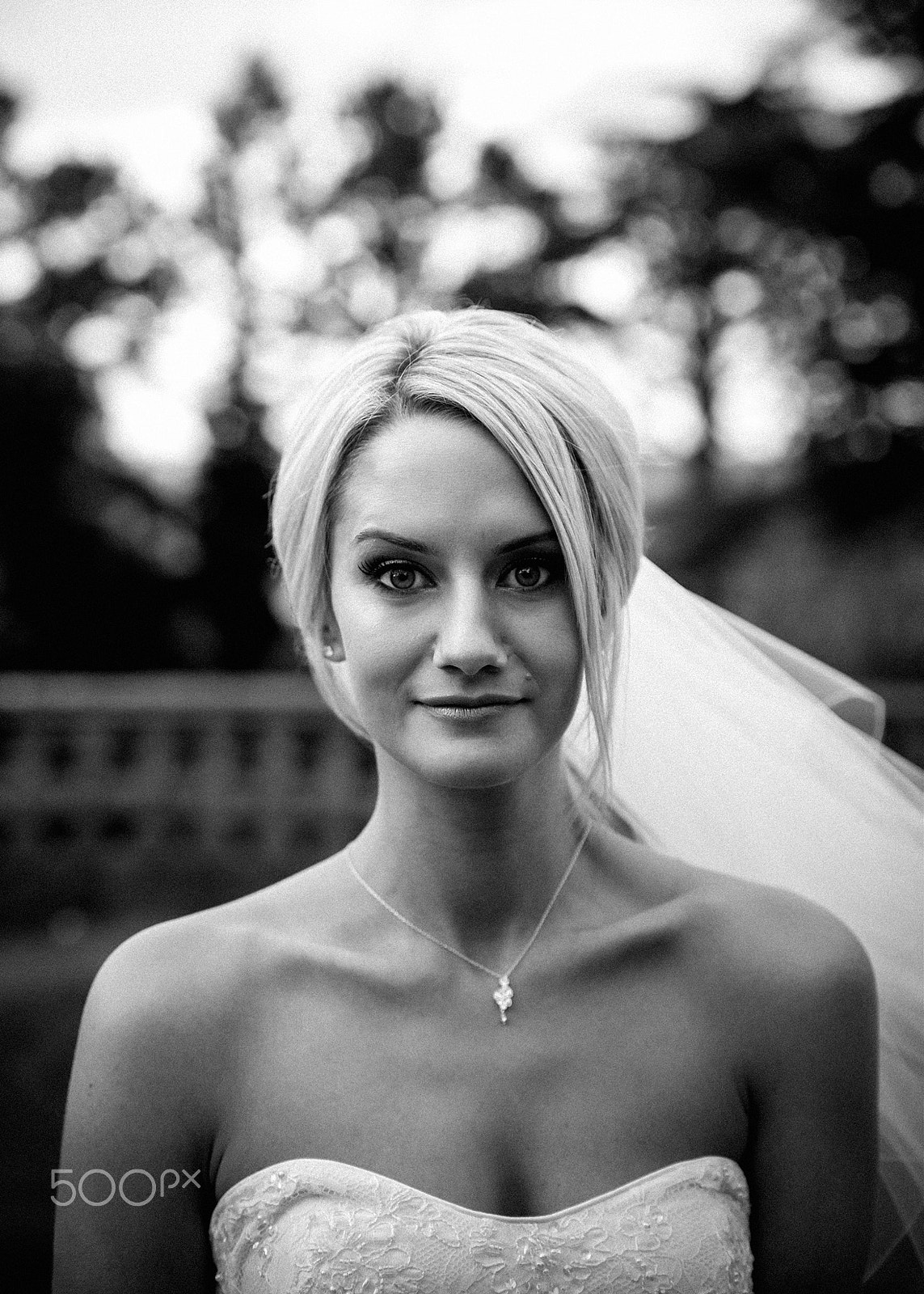 Nikon D3 sample photo. Wedding photography photography
