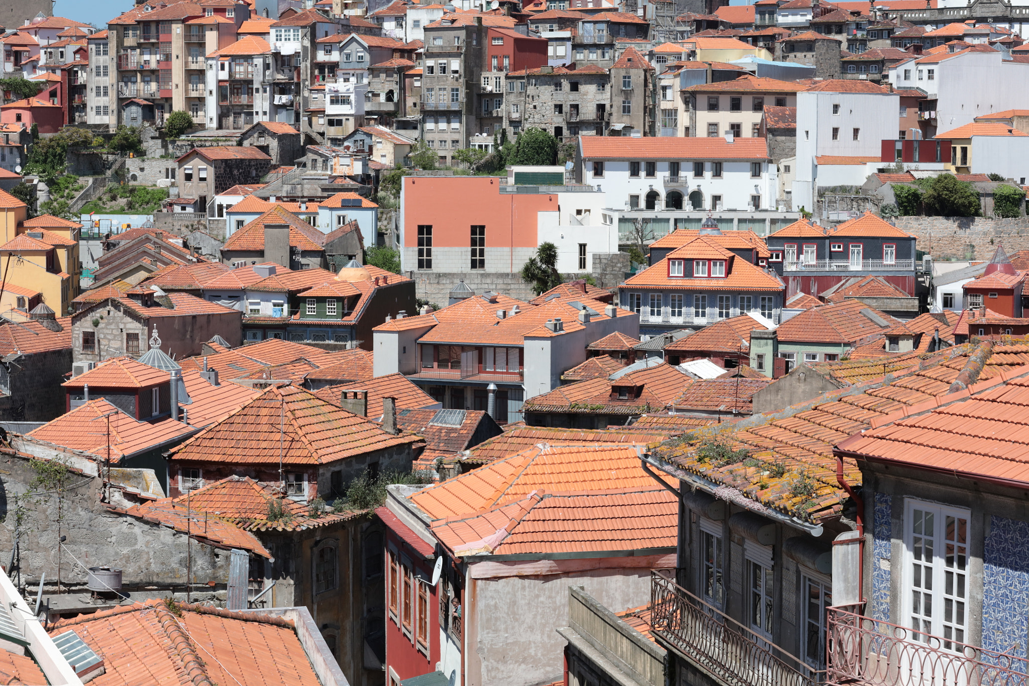 Canon EF 85mm F1.2L II USM sample photo. Oporto, portugal photography