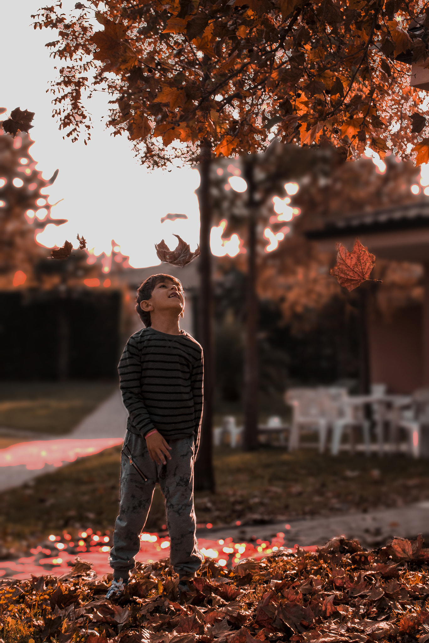 Canon EOS 760D (EOS Rebel T6s / EOS 8000D) + Canon TS-E 90mm F2.8 Tilt-Shift sample photo. Watching the leaves fall photography