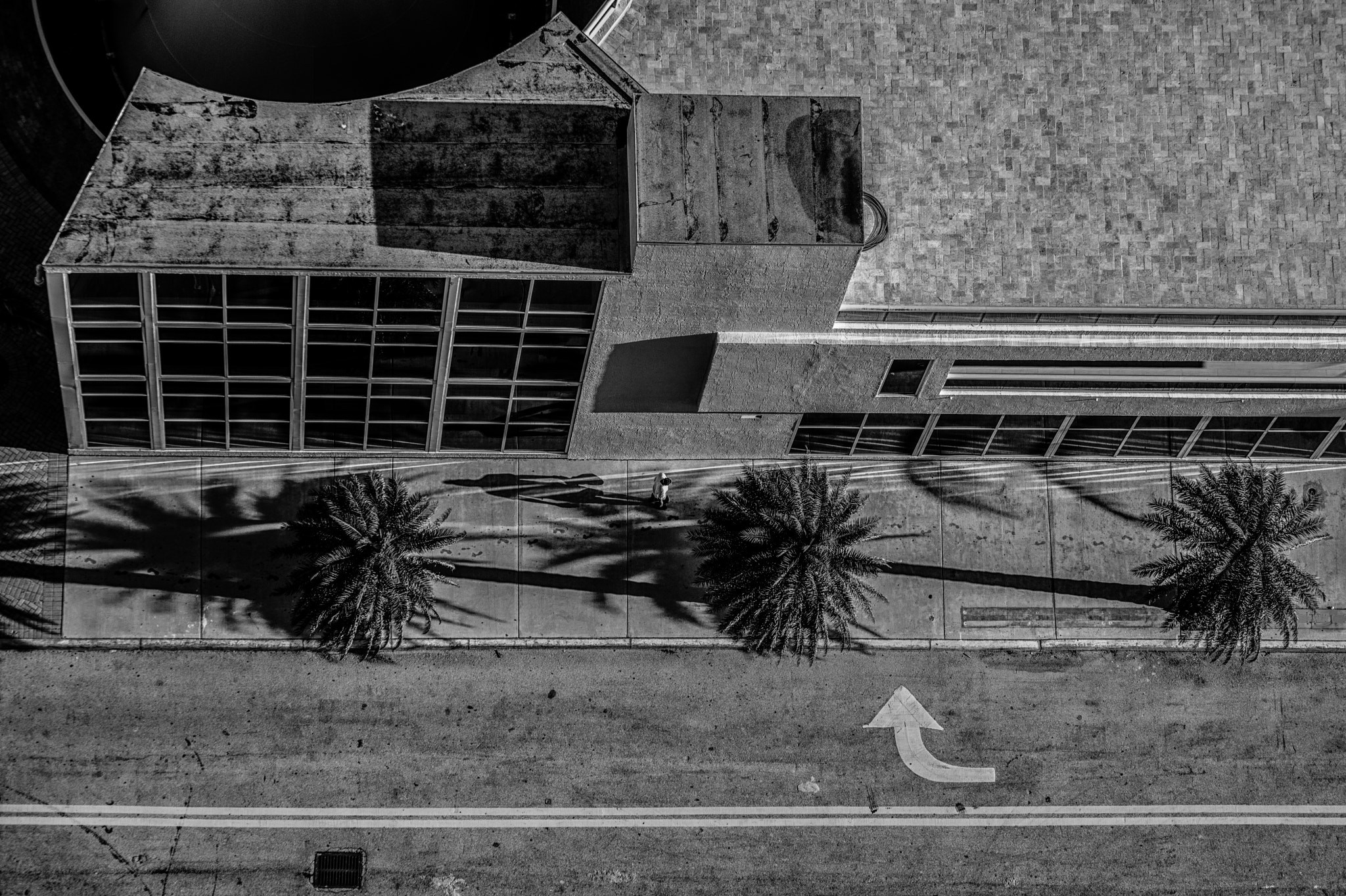 Canon EOS 5DS sample photo. Shadows - from above photography