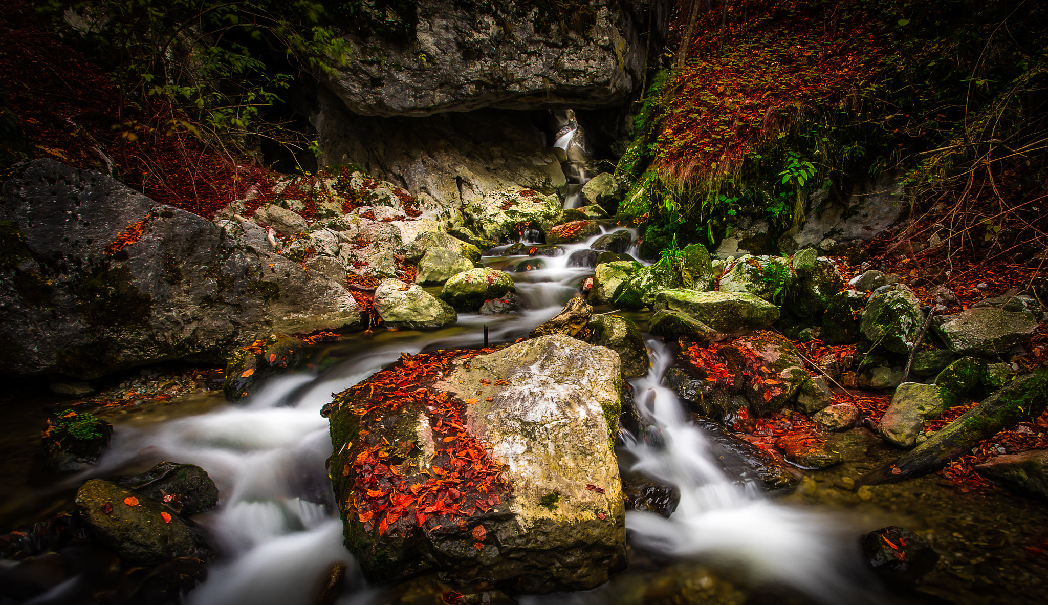 Sony a7 + Canon EF 17-40mm F4L USM sample photo. Autumn river photography