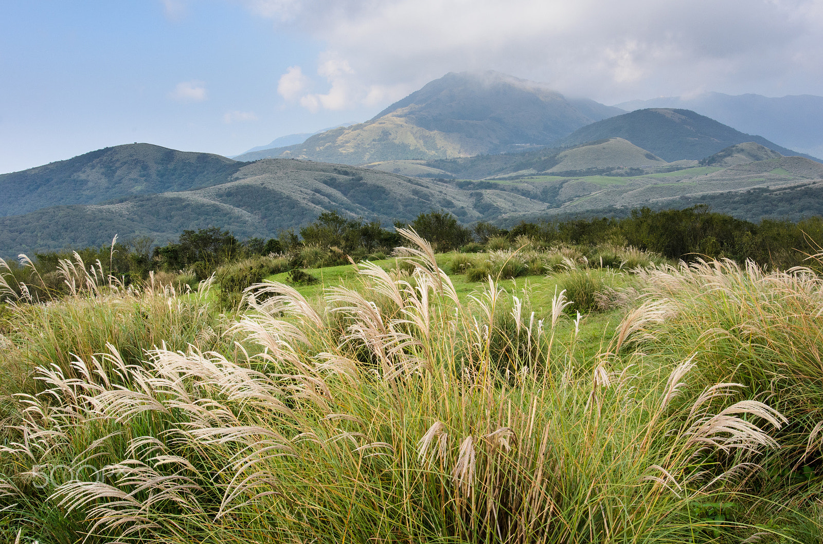 Nikon D7000 + Nikon AF-S Nikkor 20mm F1.8G ED sample photo. Yangmingshan national park in taipei, taiwan photography