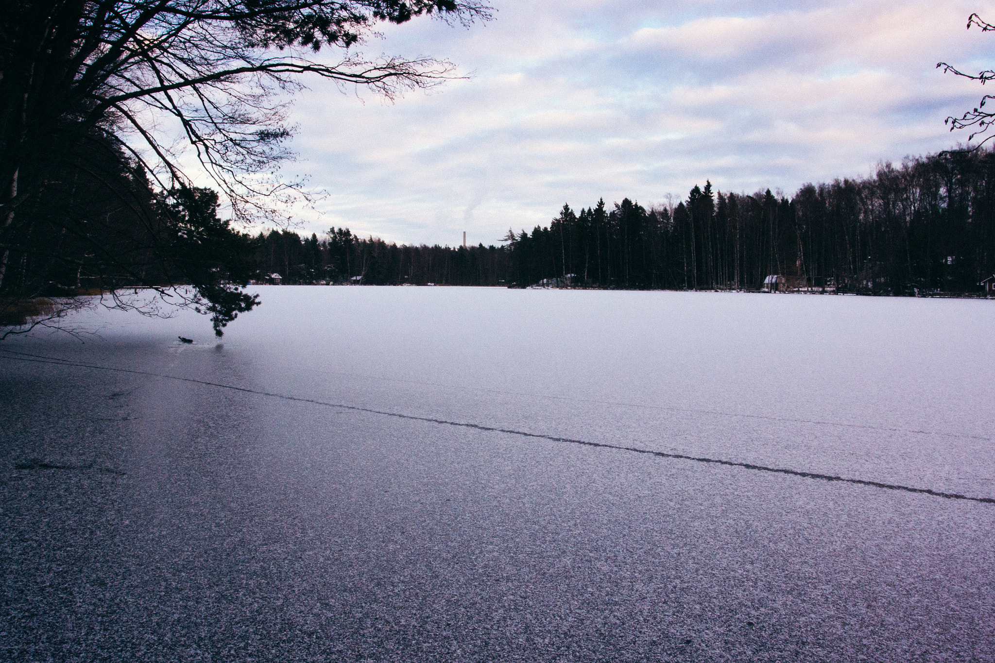 Nikon 1 V2 sample photo. Frozen ice photography