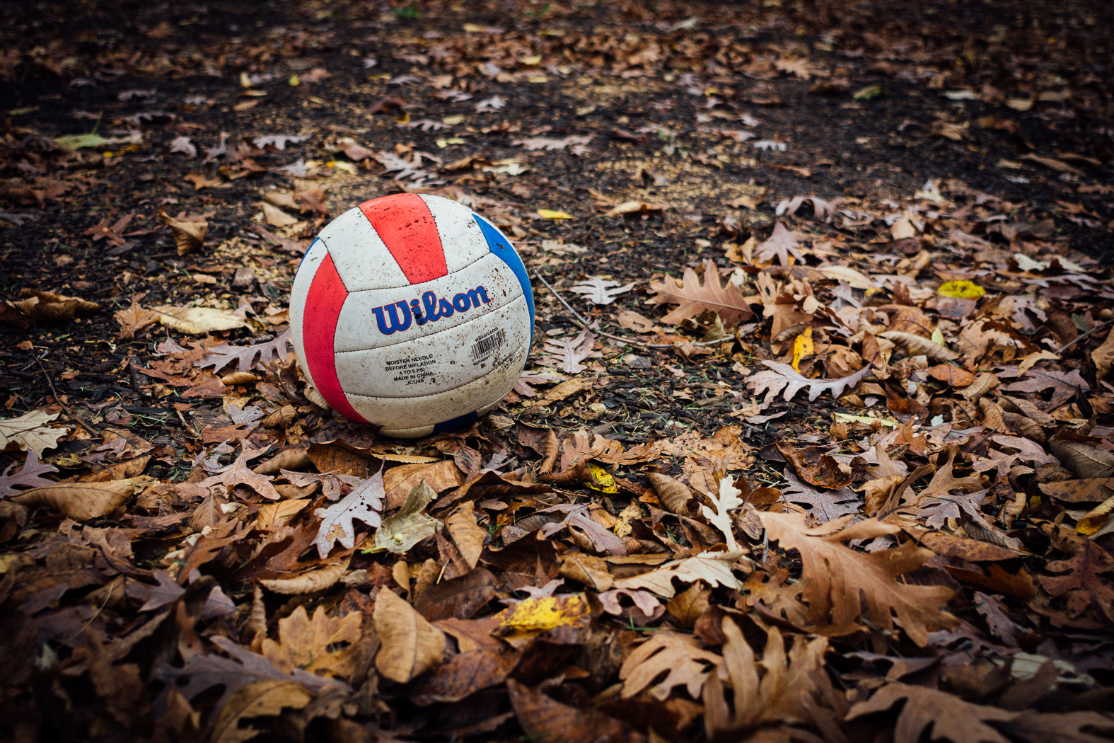Sony SLT-A65 (SLT-A65V) + Minolta AF 24mm F2.8 sample photo. Summer's over photography