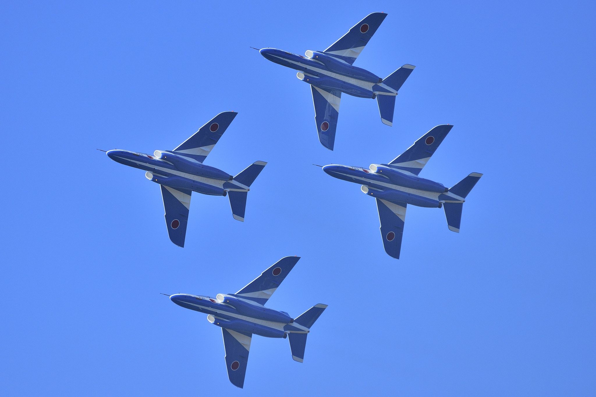 Nikon AF-S Nikkor 200-500mm F5.6E ED VR sample photo. Blue impulse photography