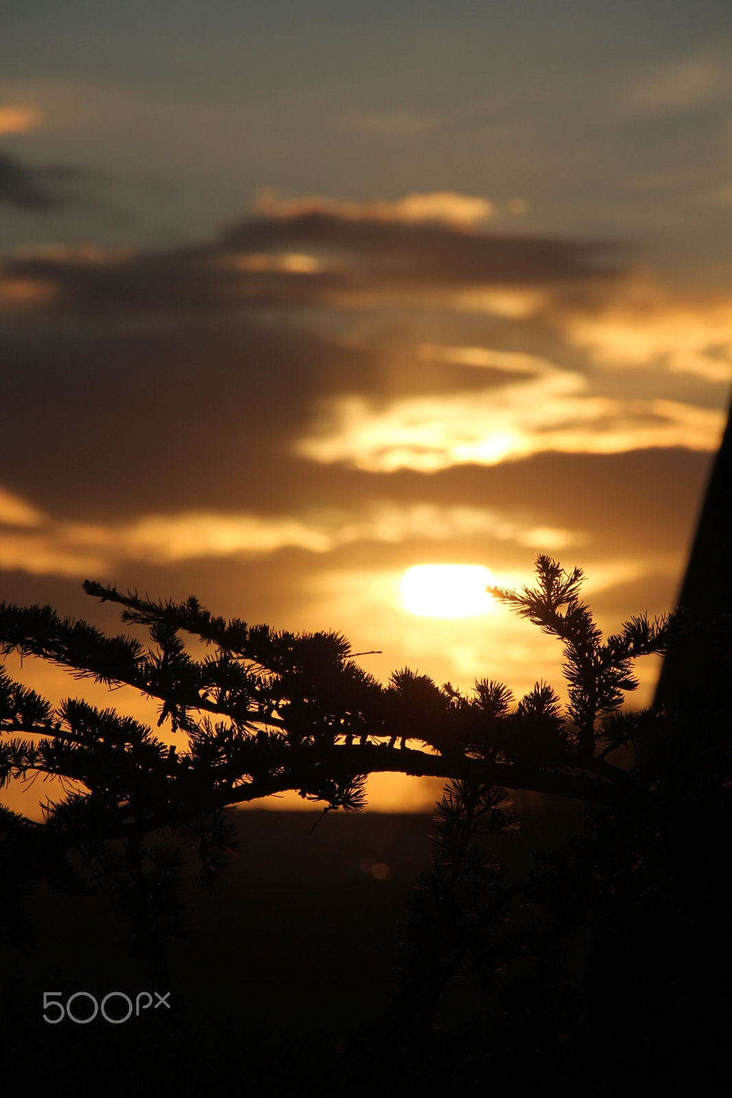 Sigma 18-250mm F3.5-6.3 DC OS HSM sample photo. Warmth photography