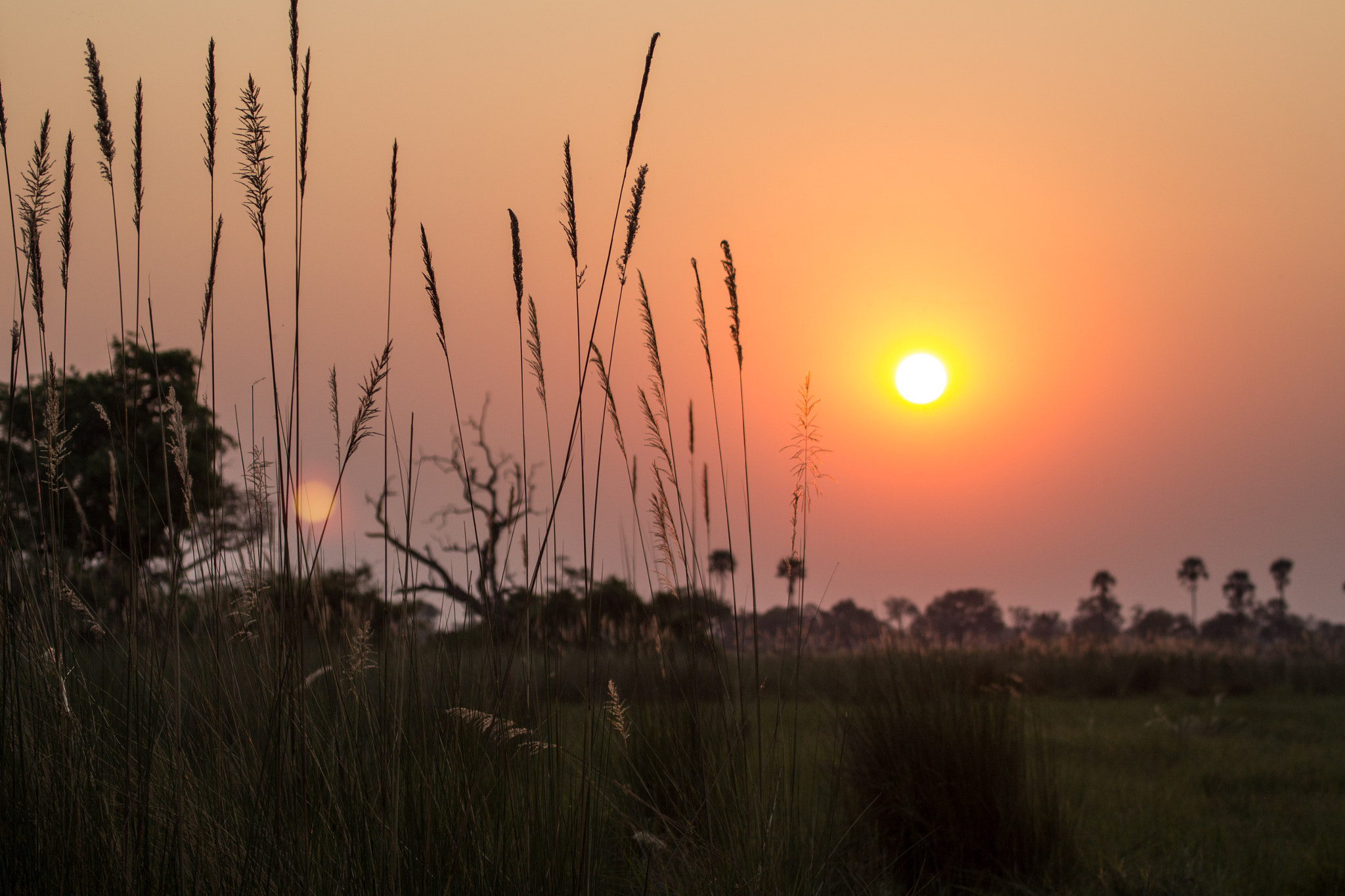 Canon EF 70-300mm F4-5.6L IS USM sample photo. Wild sunset photography