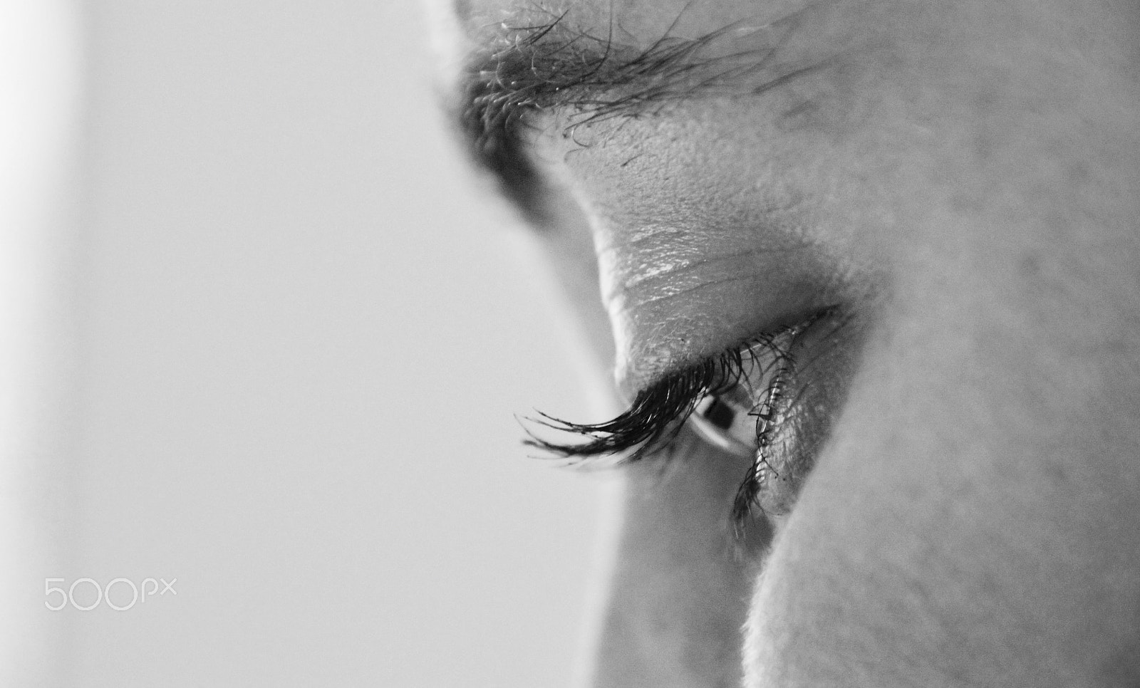 Sigma 18-250mm F3.5-6.3 DC OS HSM sample photo. Possessed photography