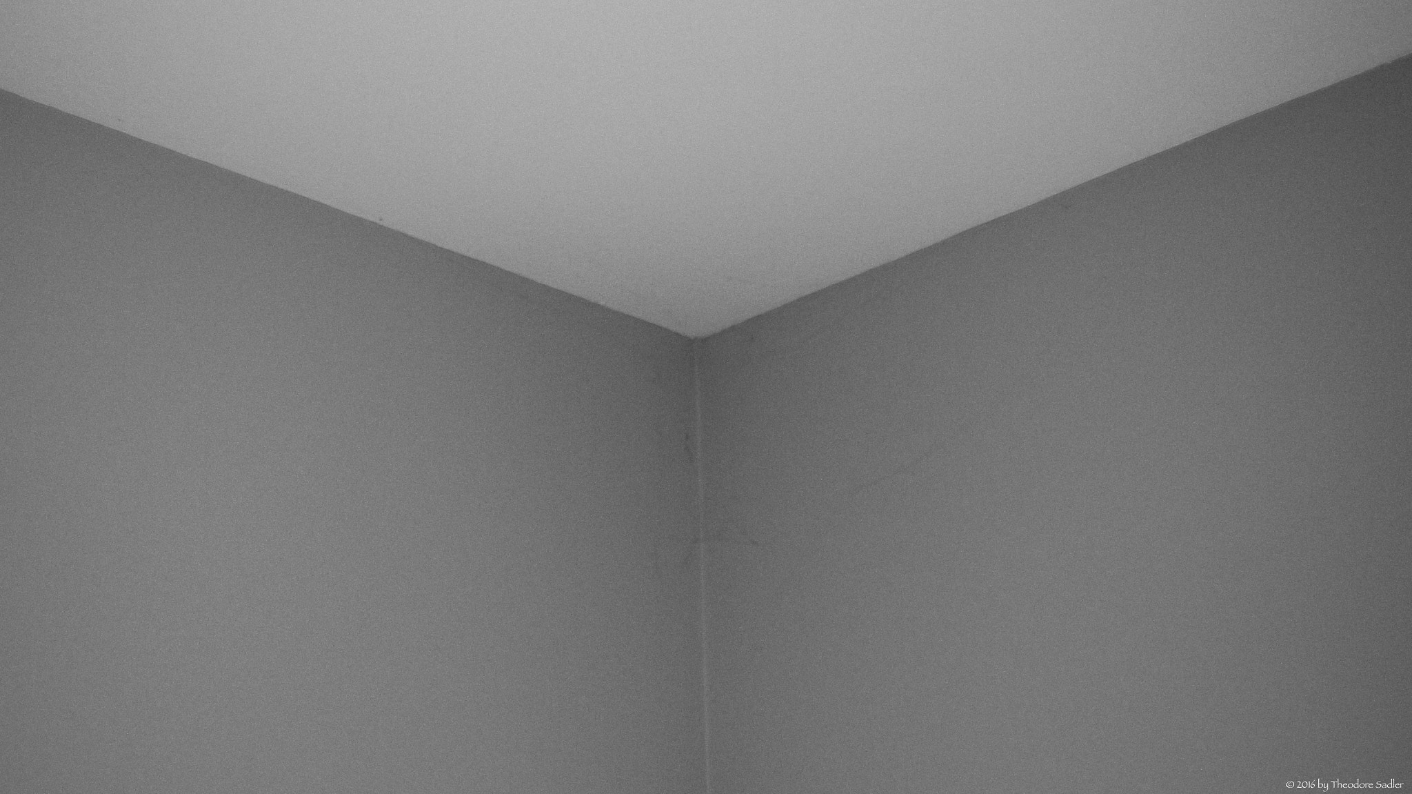 Sony SLT-A35 + Minolta AF 50mm F1.7 sample photo. Illusive photography