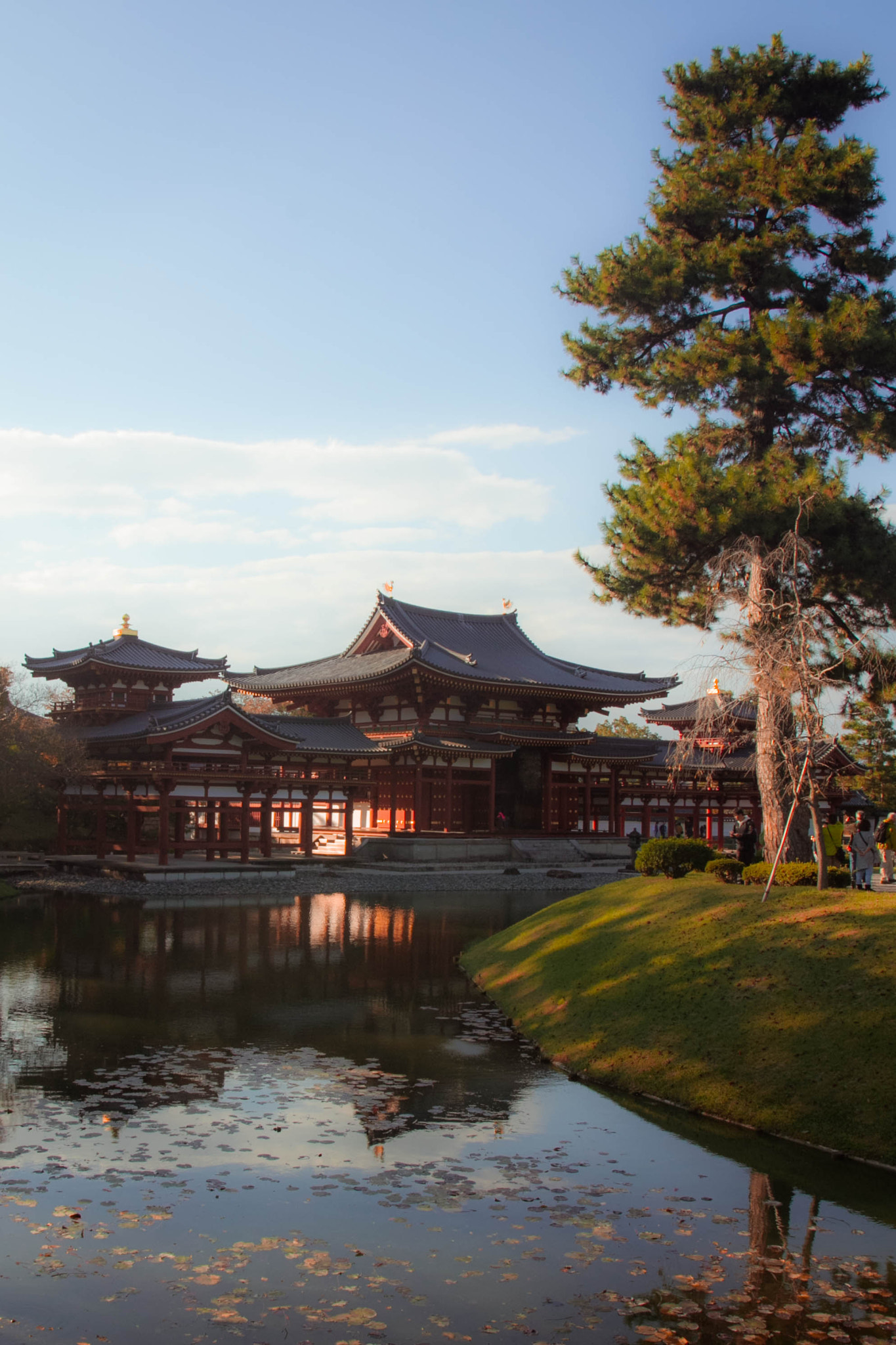 Canon EOS 60D sample photo. Byodo-in photography