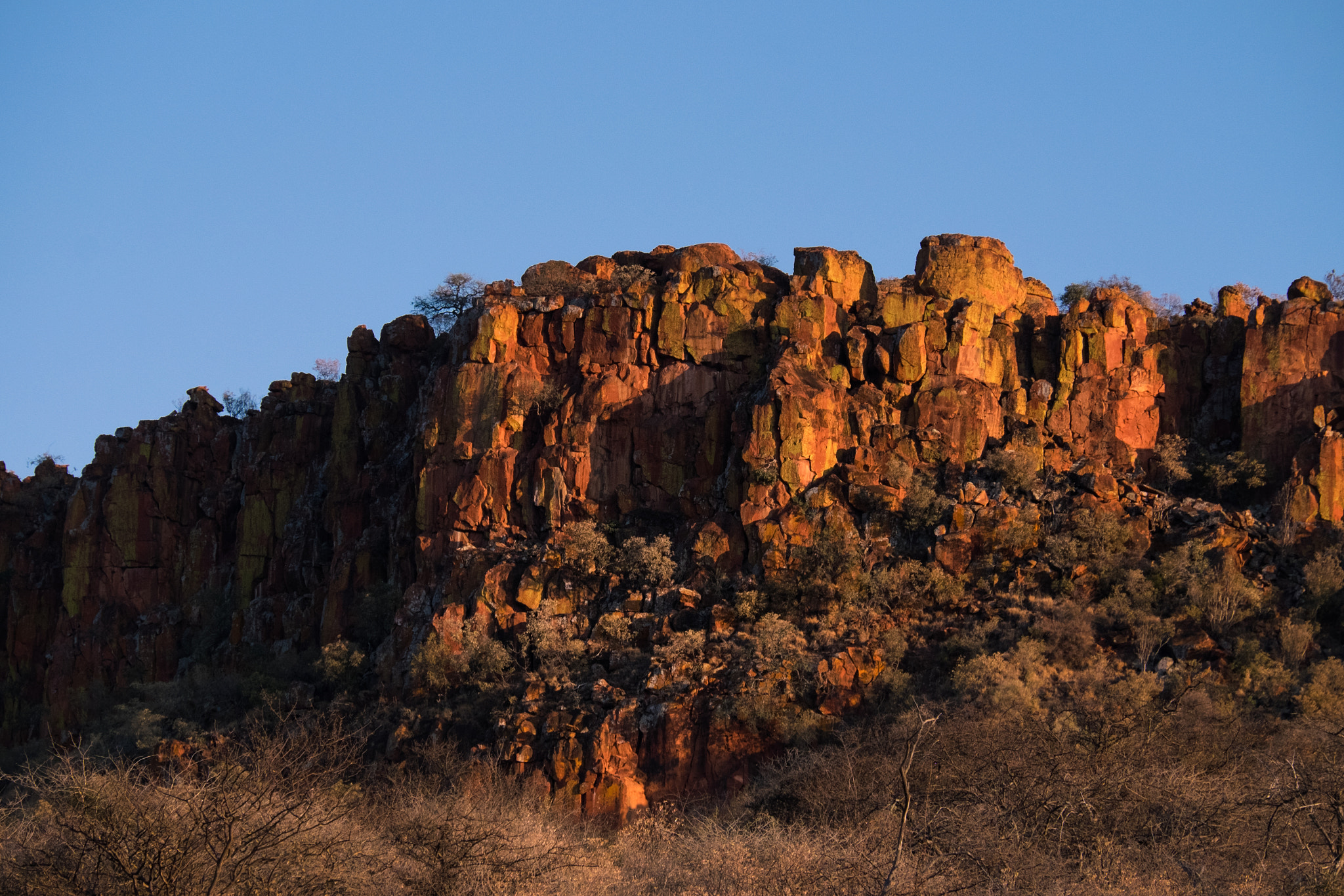 Fujifilm X-T1 + Fujifilm XC 50-230mm F4.5-6.7 OIS sample photo. Waterberg plateau photography