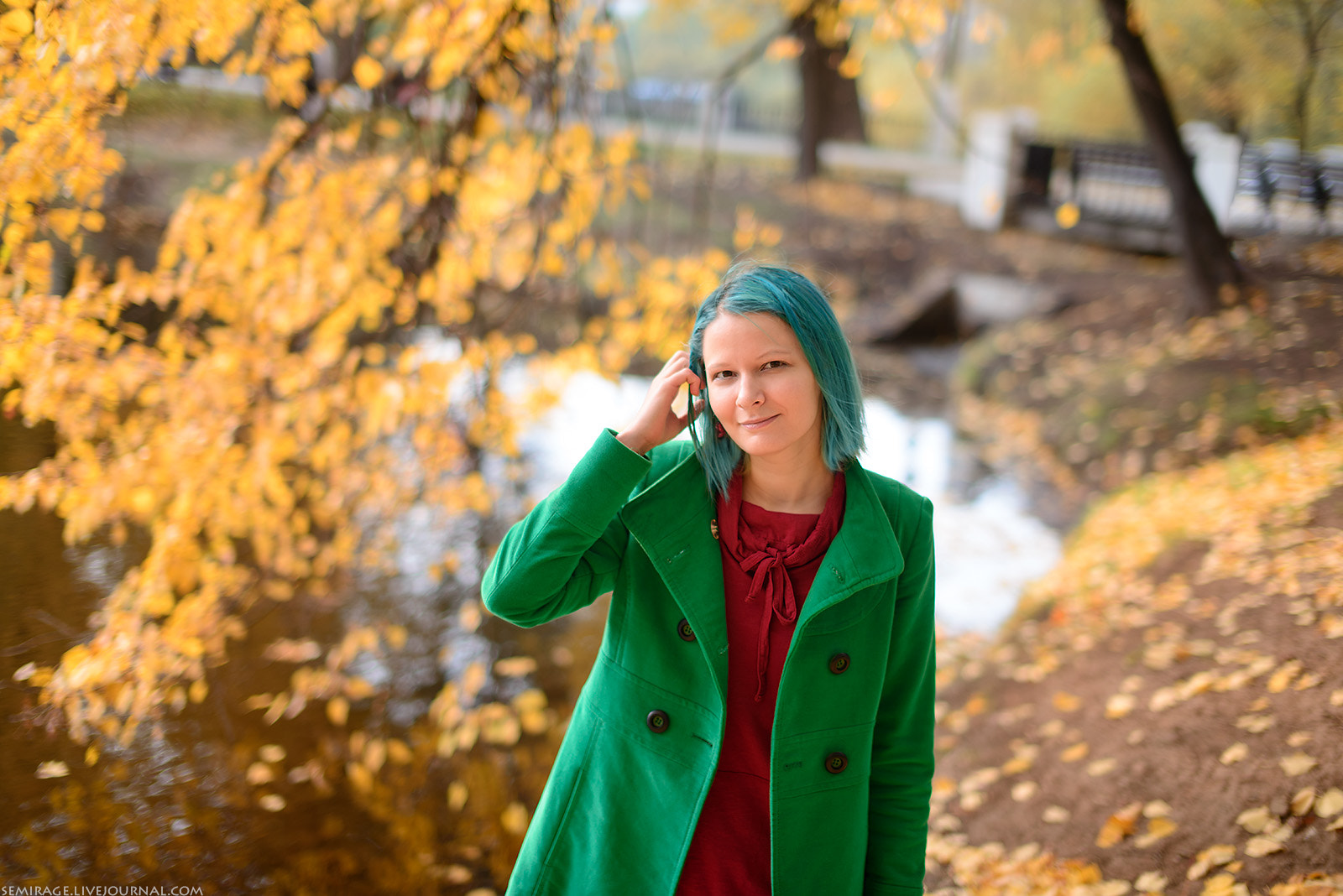 Nikon D800 + Sigma 50mm F1.4 EX DG HSM sample photo. Gold of october photography