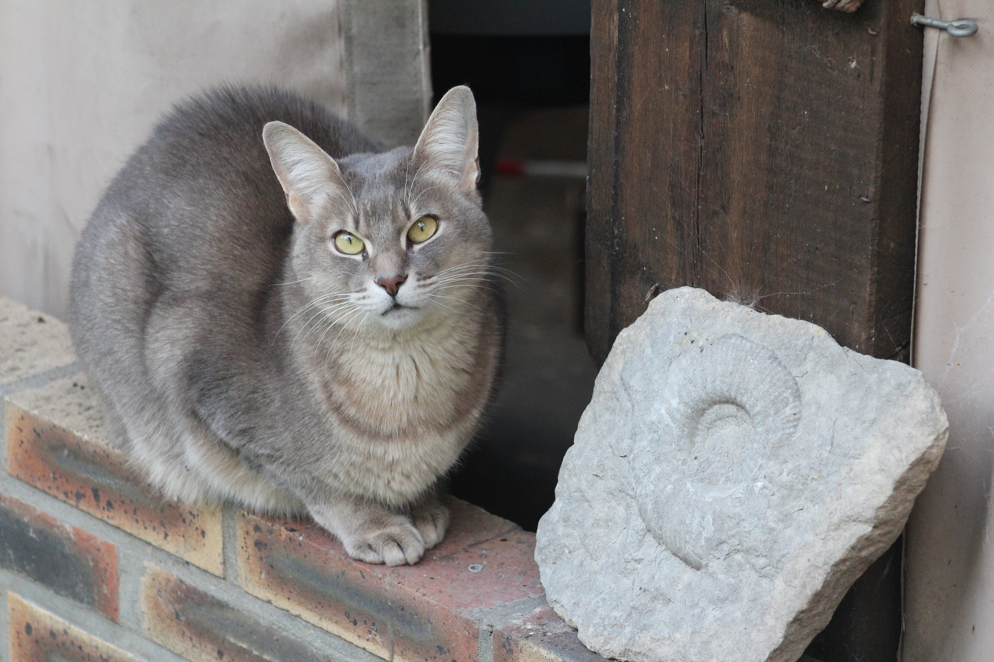 Canon EF 75-300mm f/4-5.6 USM sample photo. Img photography