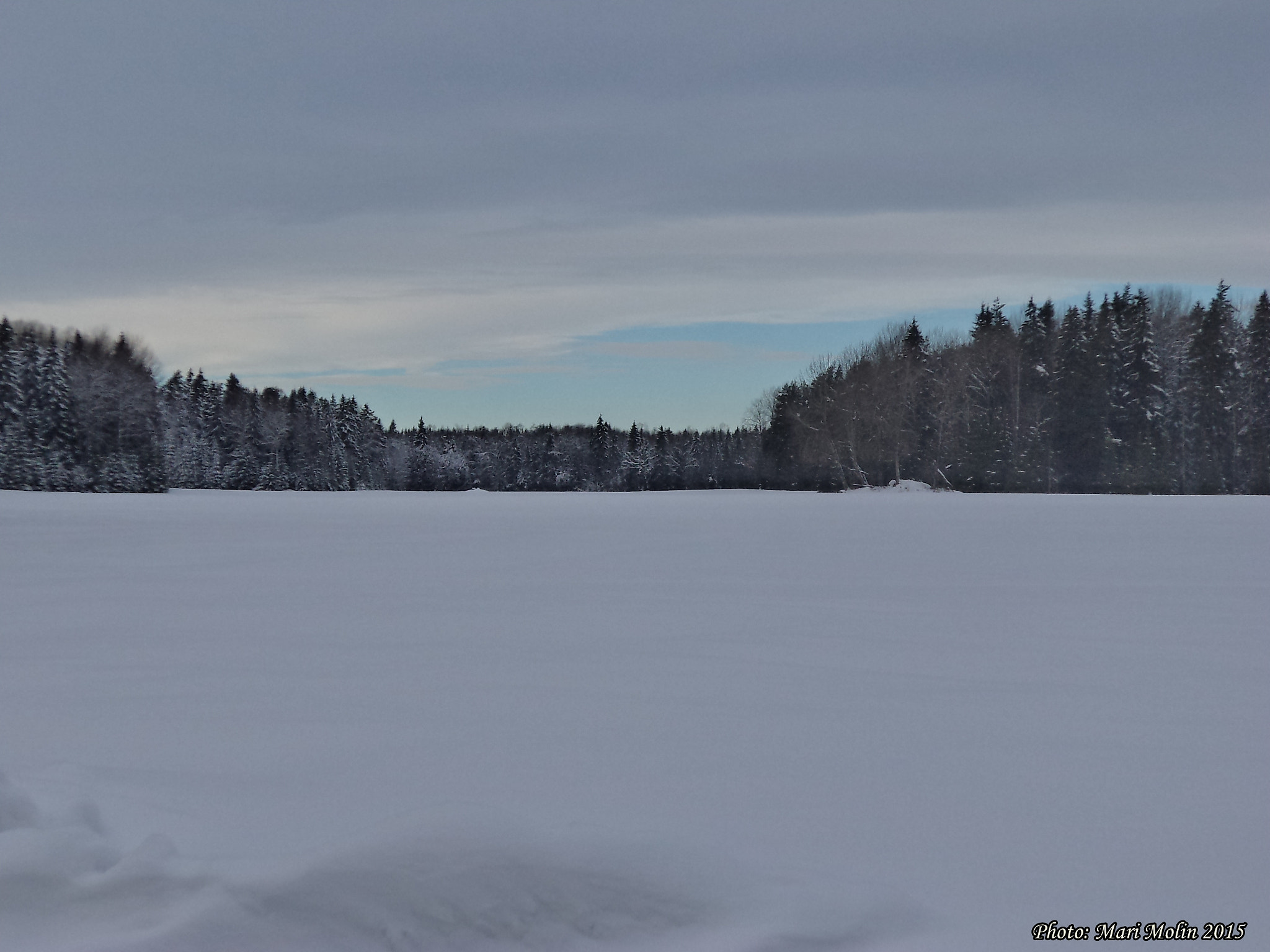 Sony DSC-W520 sample photo. The snow at the field photography