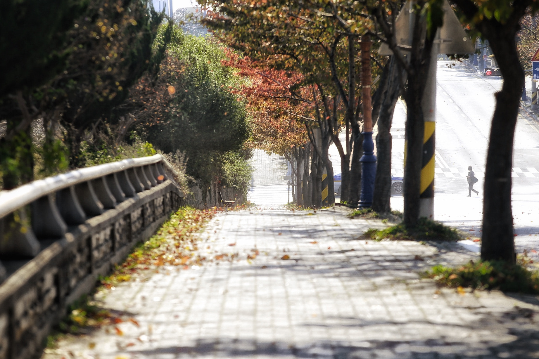 Canon EF 70-200mm F2.8L USM sample photo. Autumn street photography