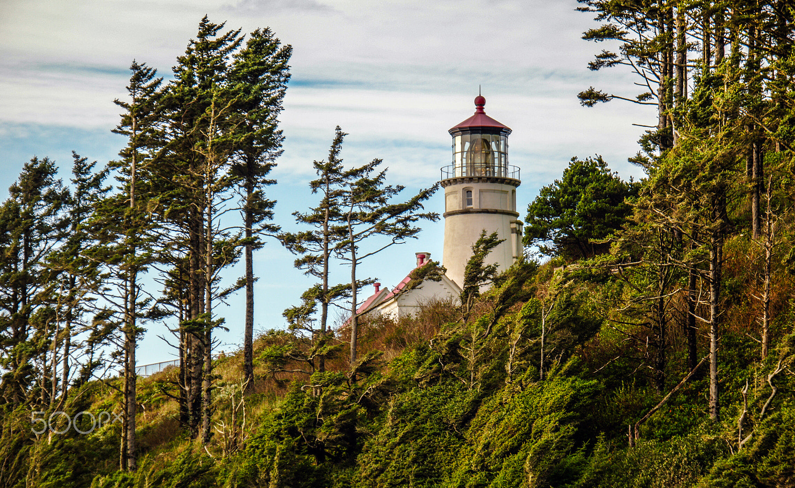 Samsung NX1 + NX 18-200mm F3.5-6.3 sample photo. Heceta head lighthouse, florence, or photography