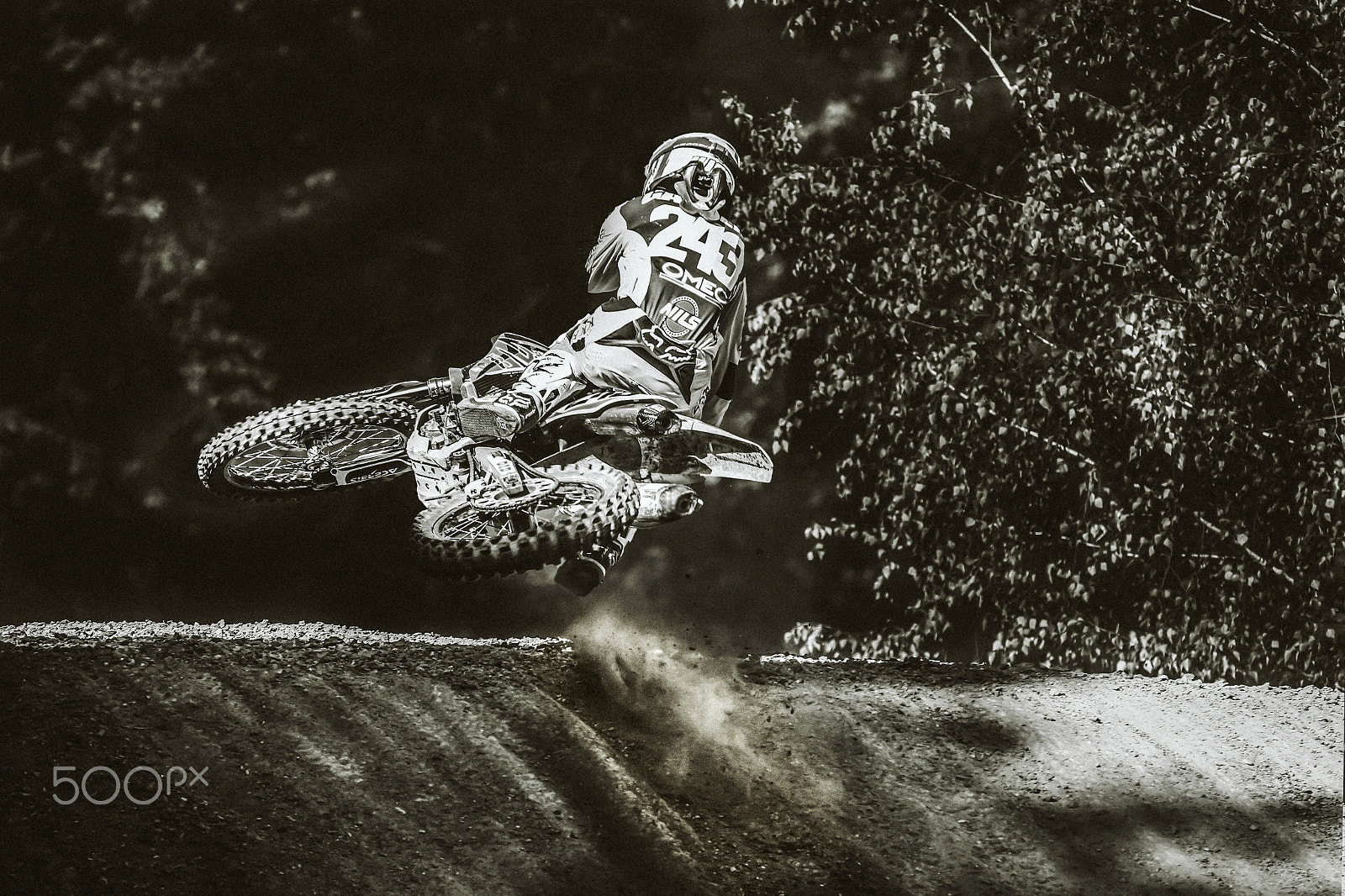 Sigma 100-300mm f/4 sample photo. Tim gajser - laying it down photography