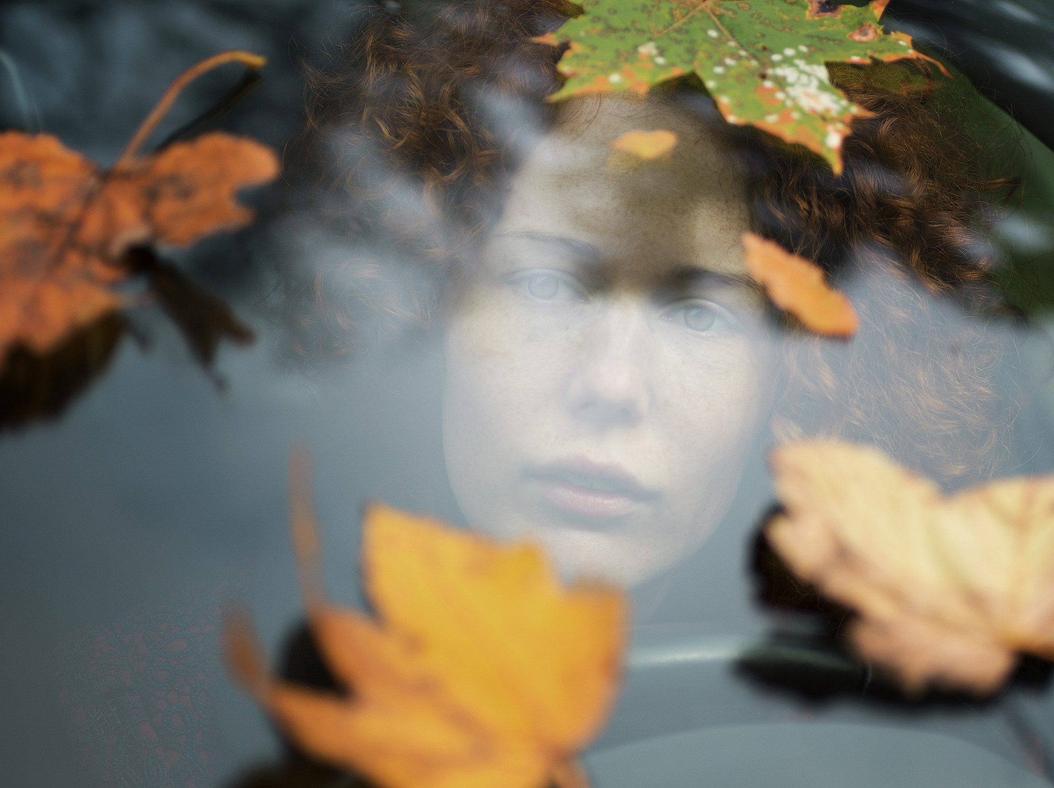 Nikon D800 sample photo. C photography