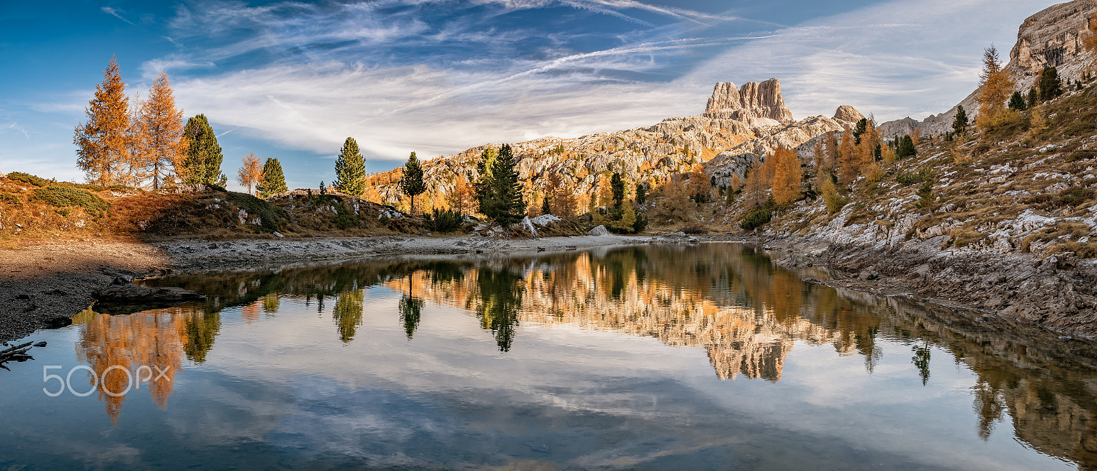 Canon EF 24-70mm F2.8L II USM sample photo. Golden trees photography