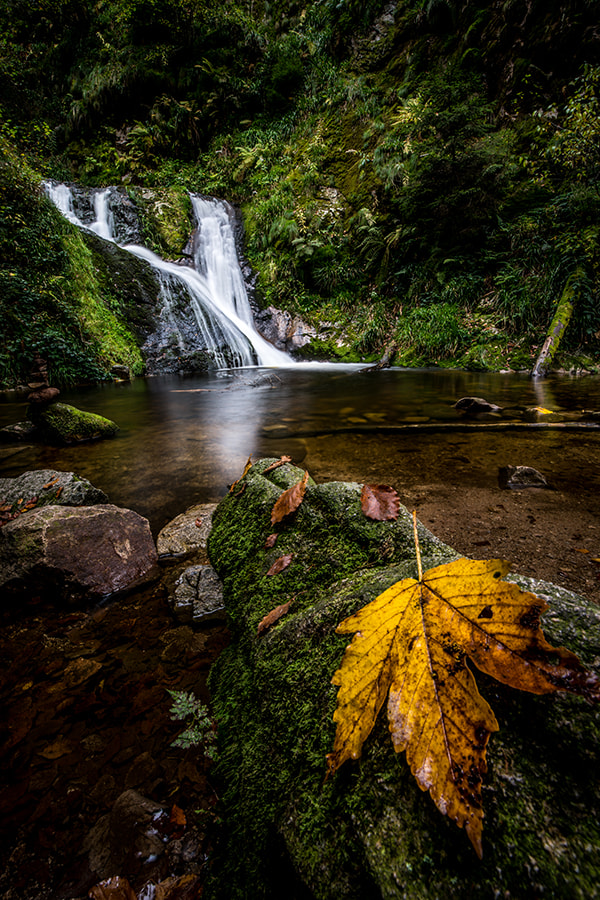 Canon EF 16-35mm F4L IS USM sample photo. Allhallows waterfalls photography