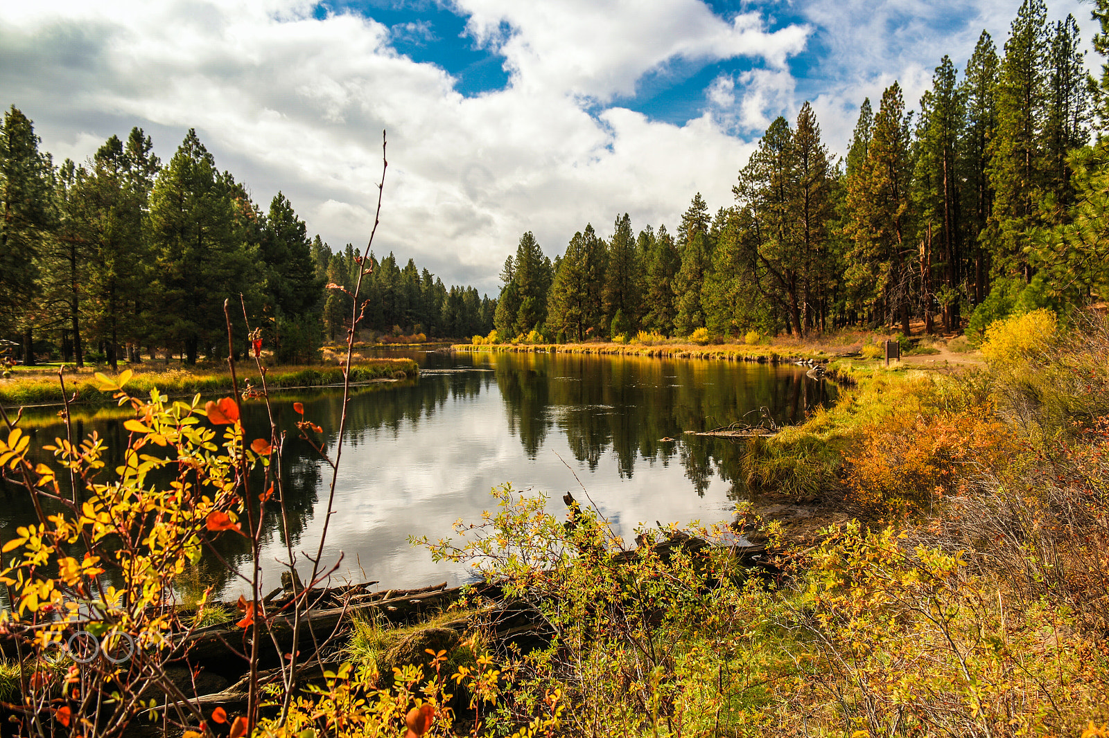 Samsung NX1 + NX 18-200mm F3.5-6.3 sample photo. Meadow camp, bend, or photography
