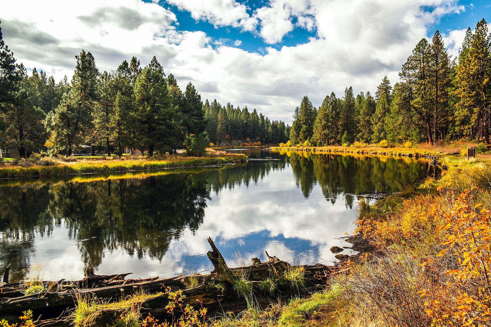 Samsung NX1 + NX 18-200mm F3.5-6.3 sample photo. Meadow camp, bend, or photography