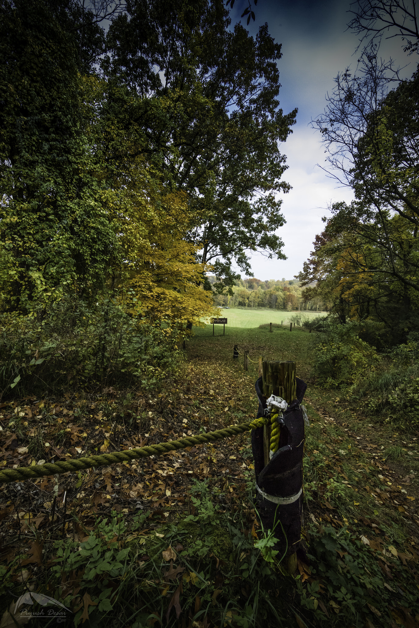 Canon EF 14mm F2.8L II USM sample photo. Kensington park photography