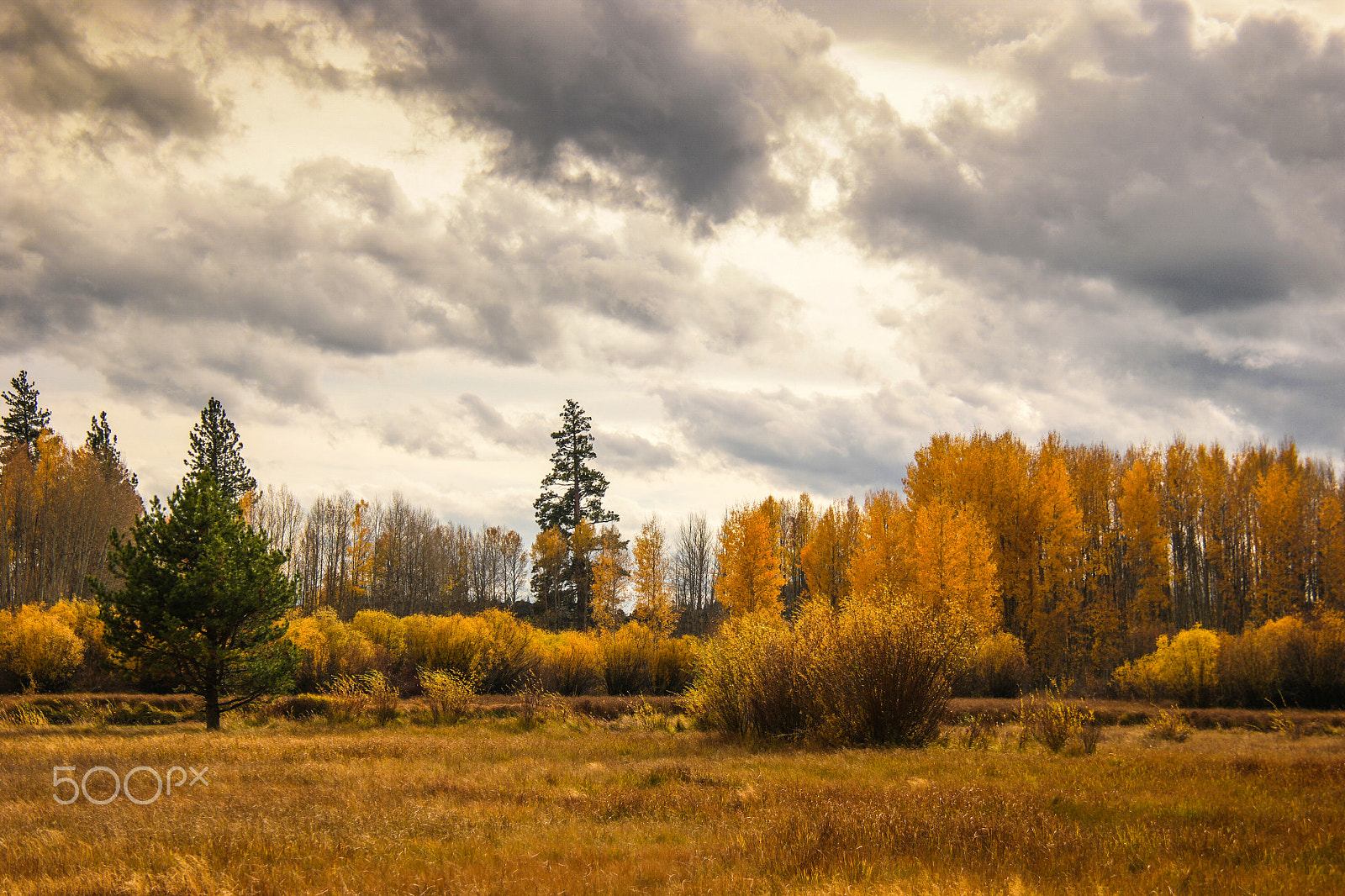 Samsung NX1 + NX 18-200mm F3.5-6.3 sample photo. Deschutes river near dillon falls, bend, or photography