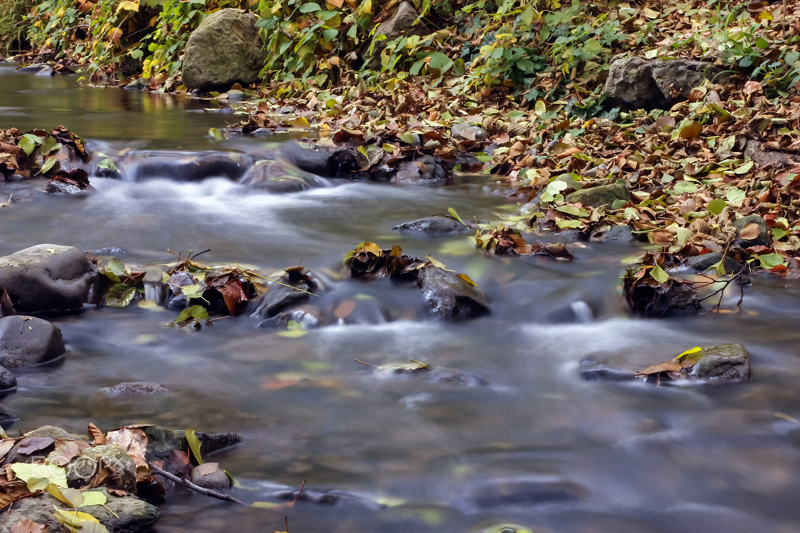 Canon EOS 600D (Rebel EOS T3i / EOS Kiss X5) + Sigma 24-70mm F2.8 EX DG Macro sample photo. Creek photography