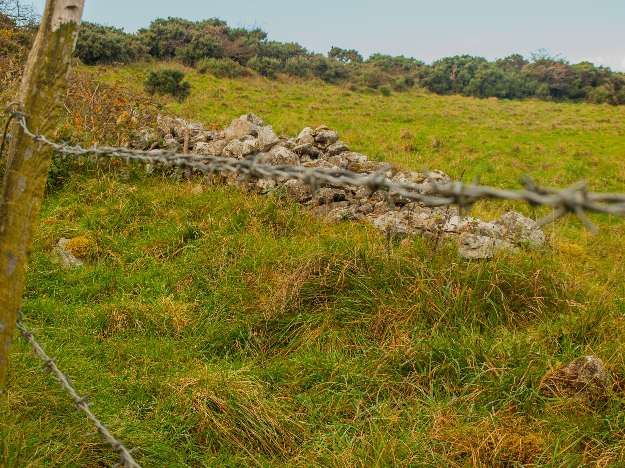 Olympus E-420 (EVOLT E-420) + OLYMPUS 14-42mm Lens sample photo. Hiking in wicklow photography