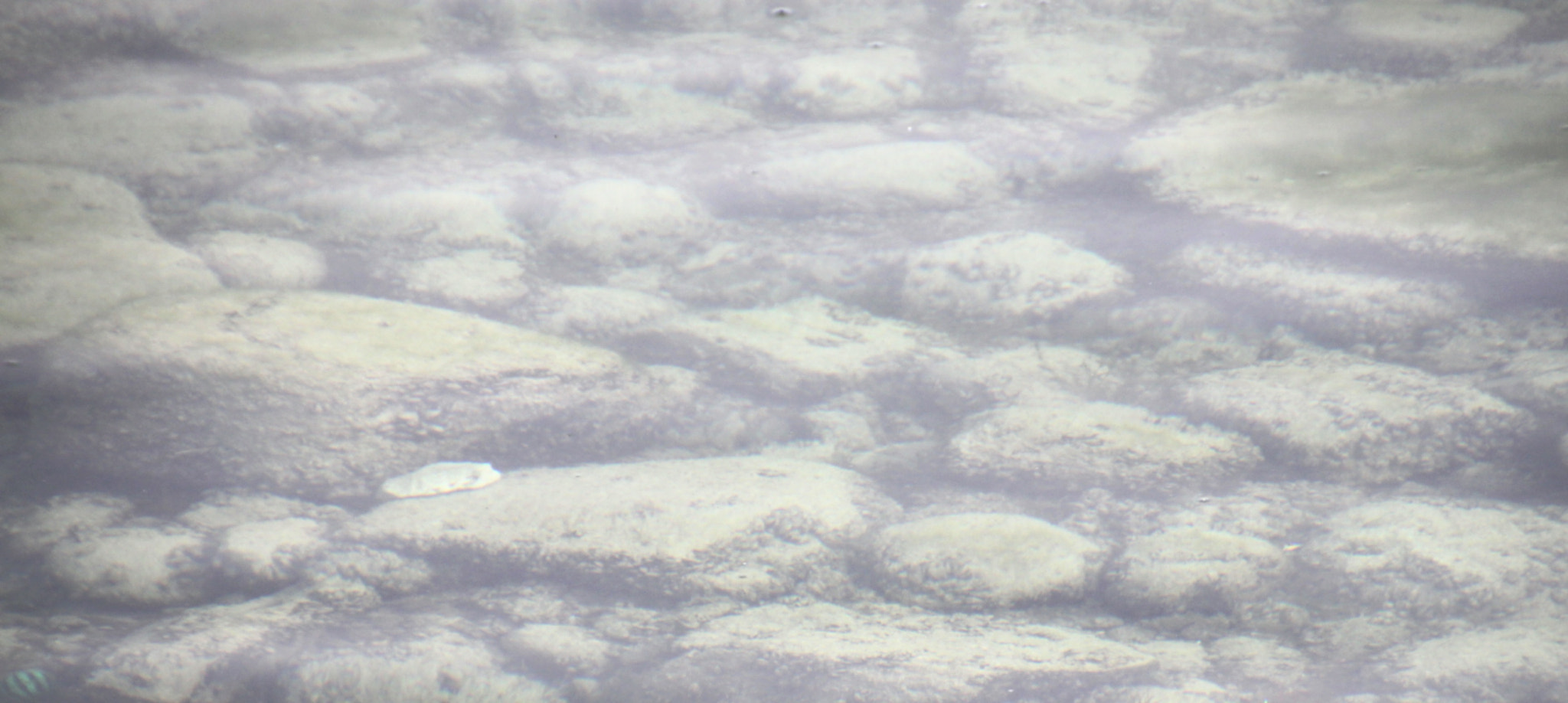 Canon EOS 500D (EOS Rebel T1i / EOS Kiss X3) sample photo. Stoned clouds photography