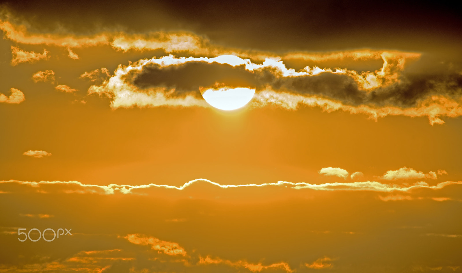 Sigma 150-500mm F5-6.3 DG OS HSM sample photo. Good morning photography